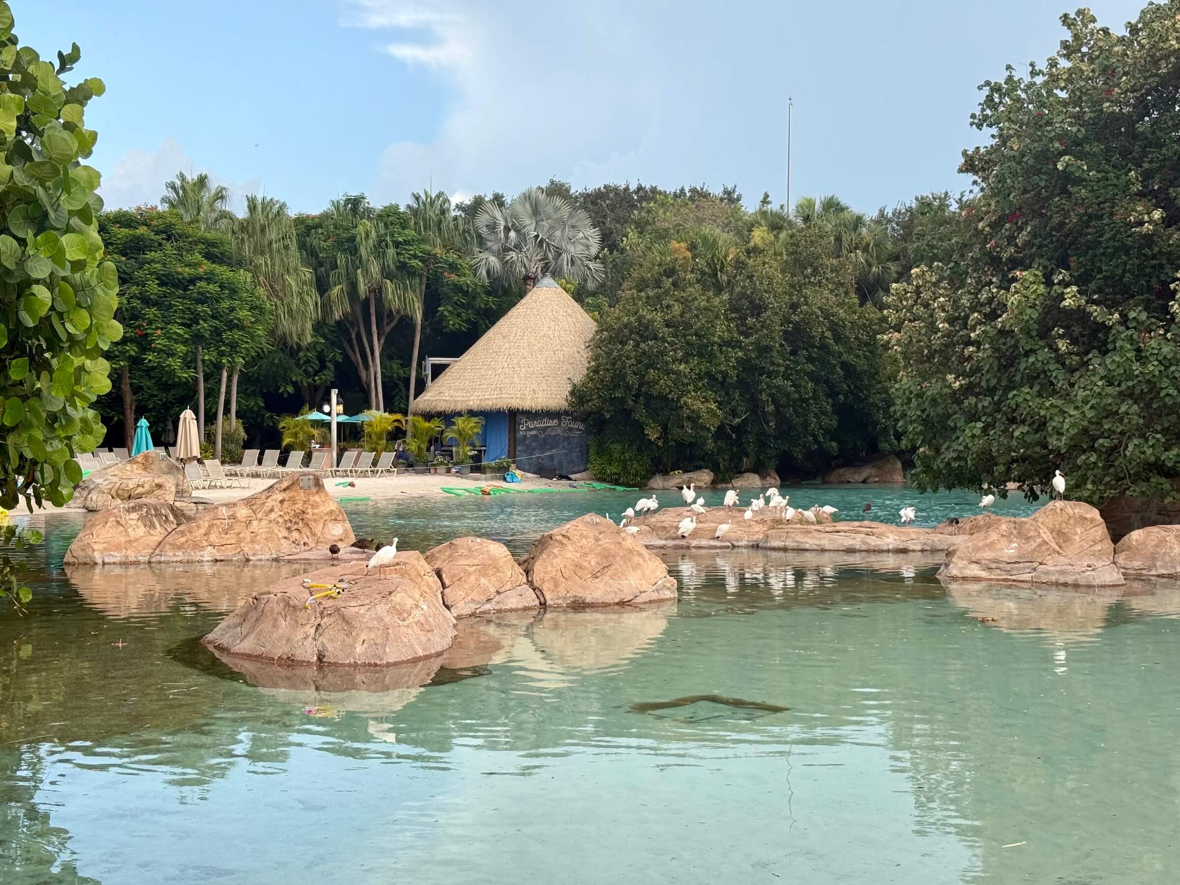 Discovery Cove