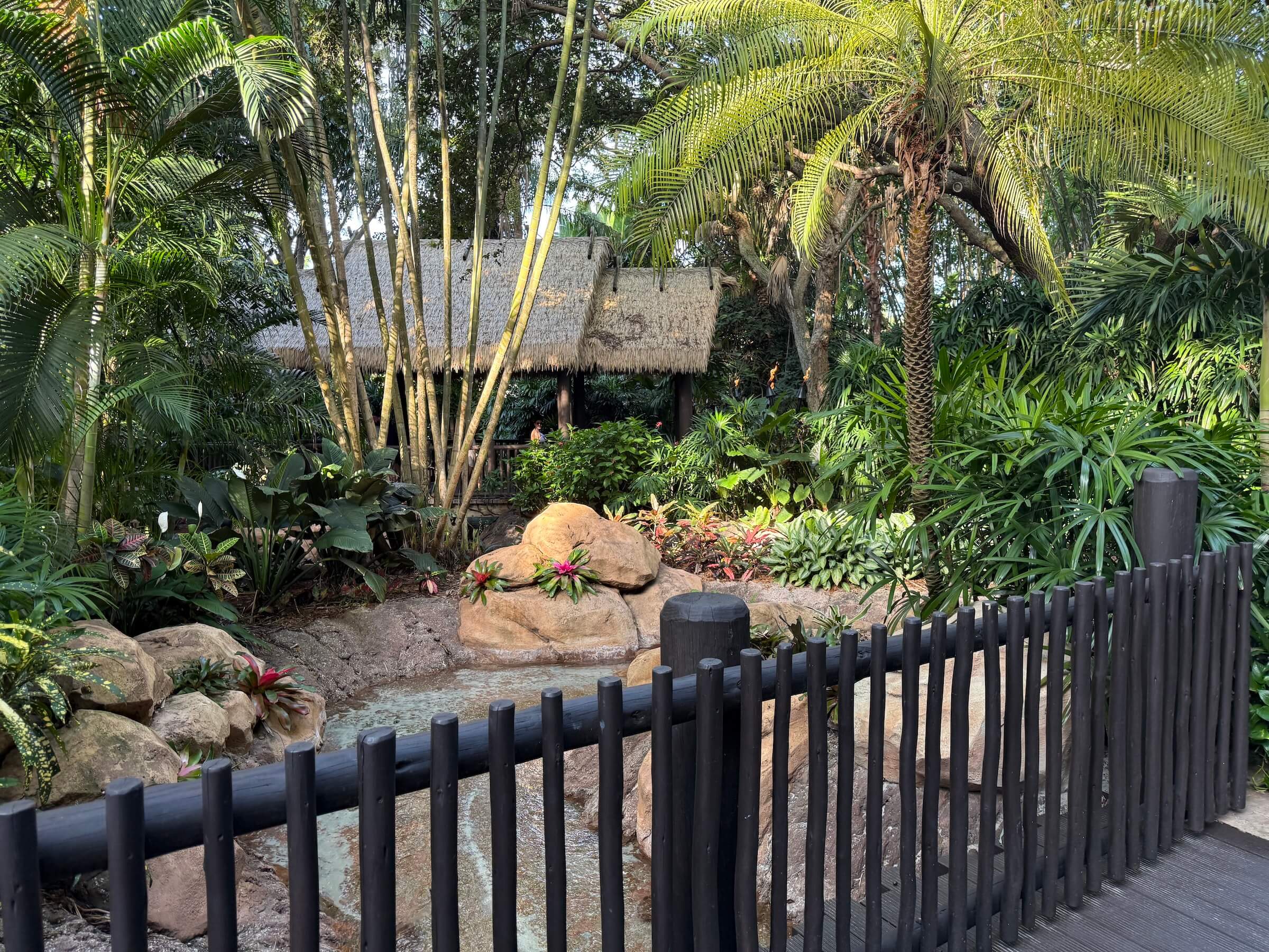Discovery Cove