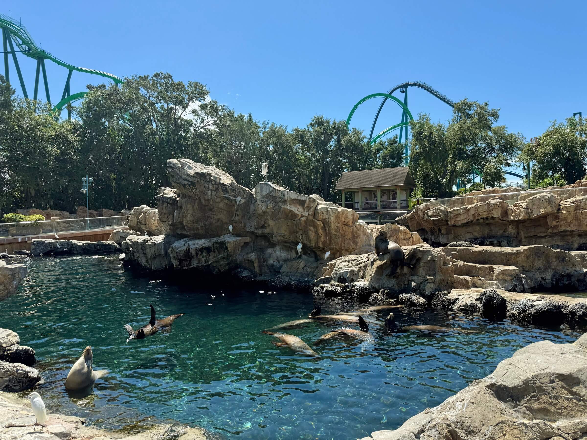 SeaWorld Orlando