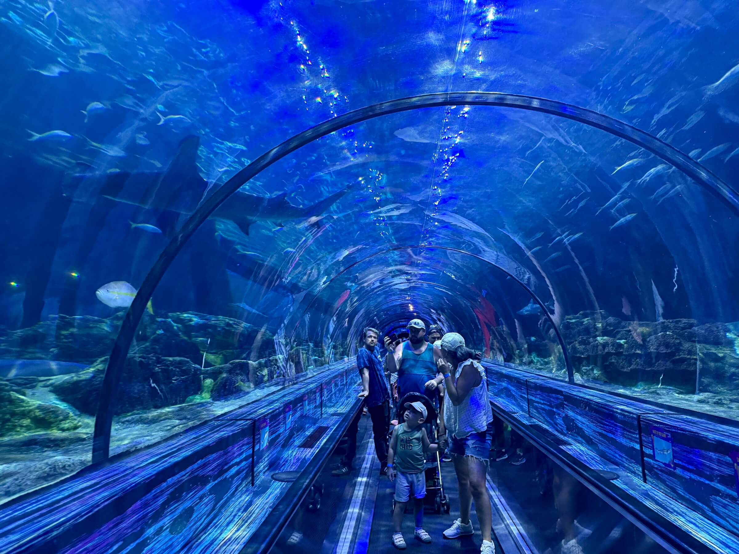 SeaWorld Orlando