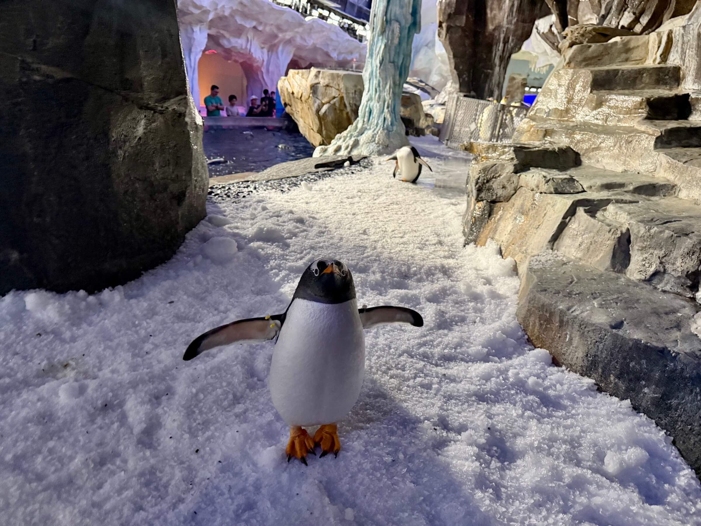SeaWorld Orlando