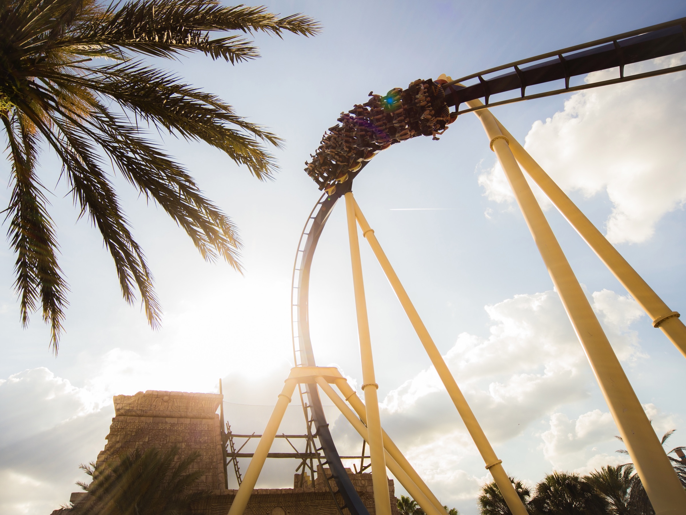 Busch Gardens Tampa