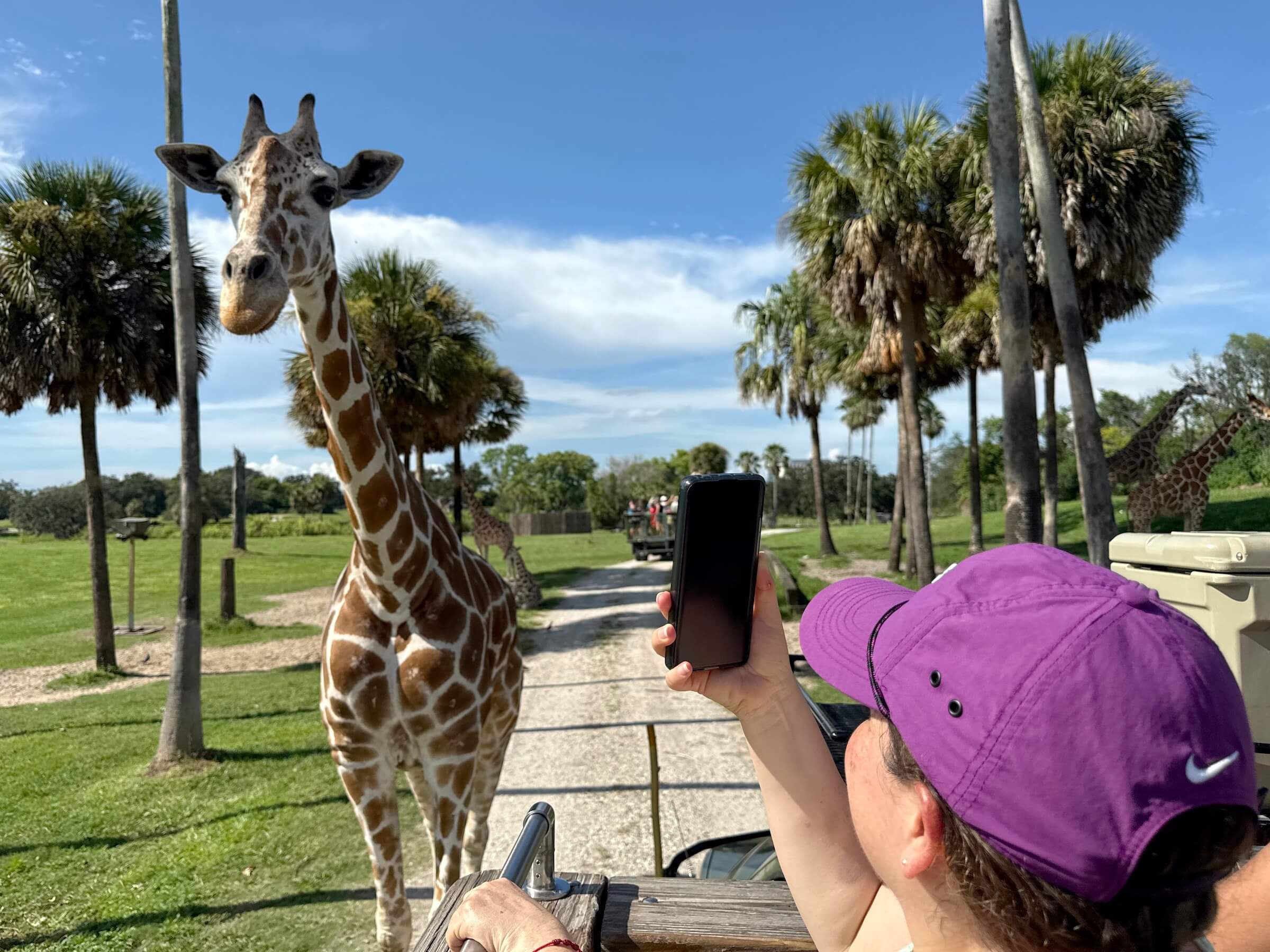 Busch Gardens Tampa