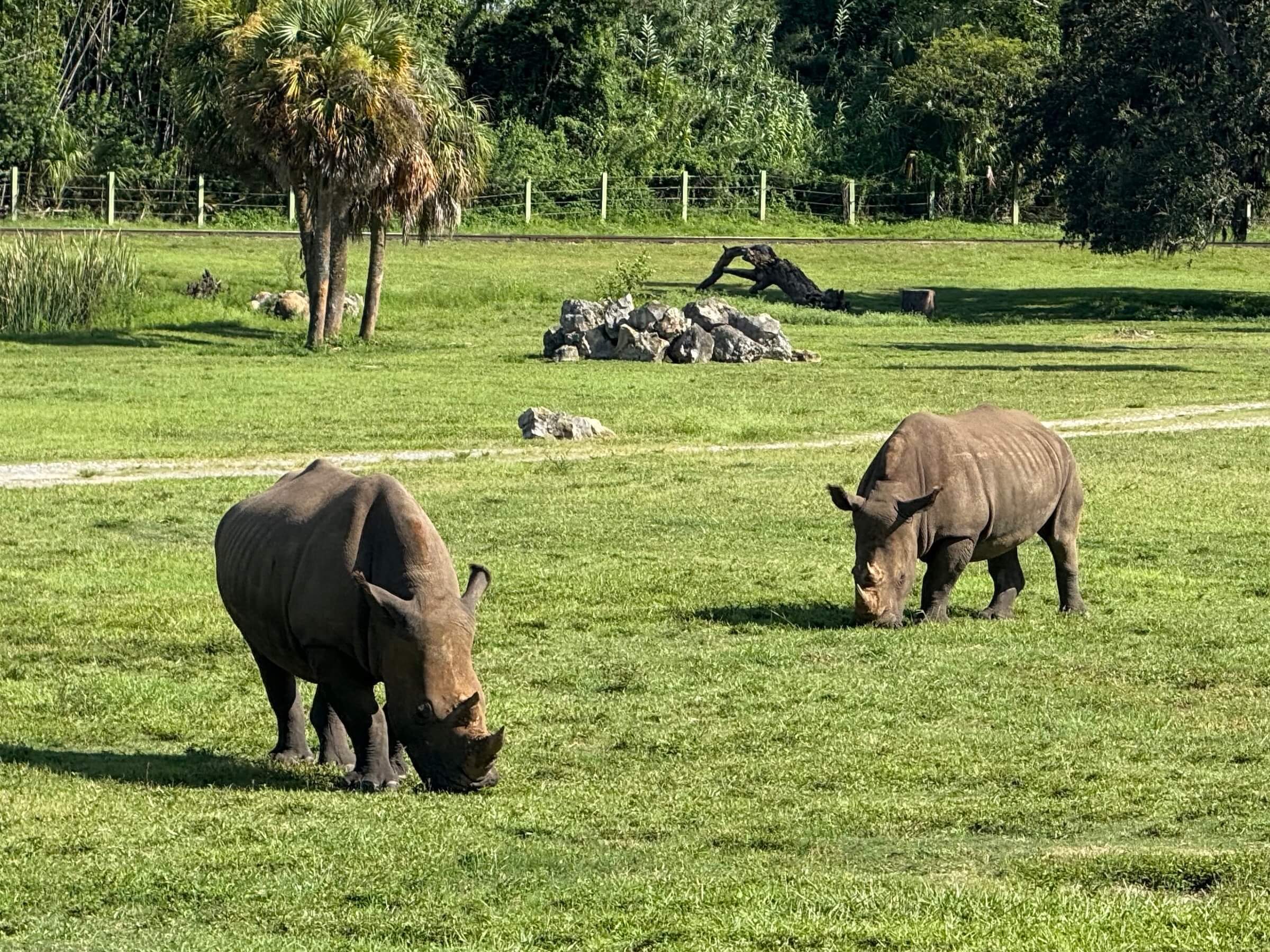 Busch Gardens Tampa