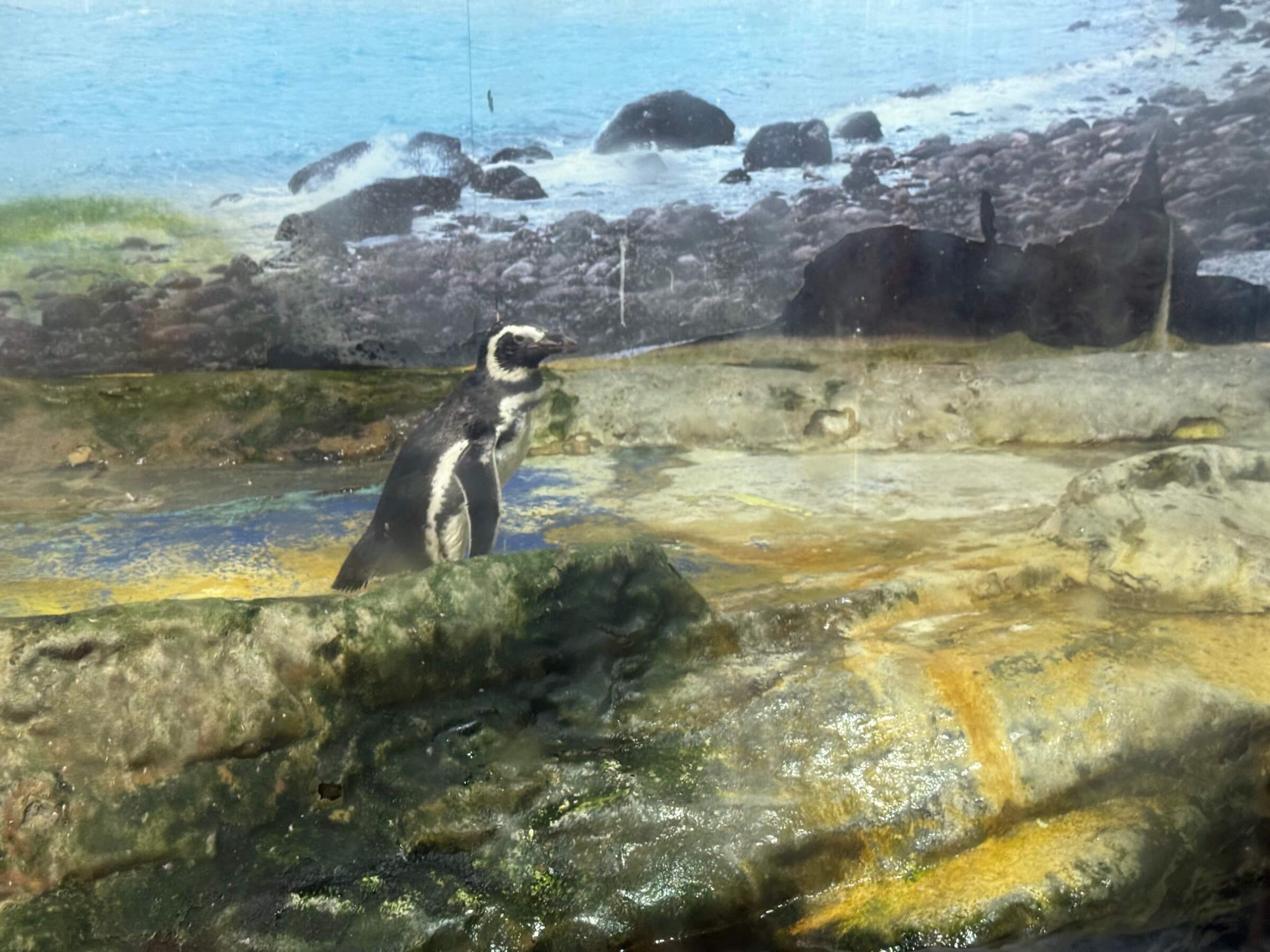 O que fazer em Santos