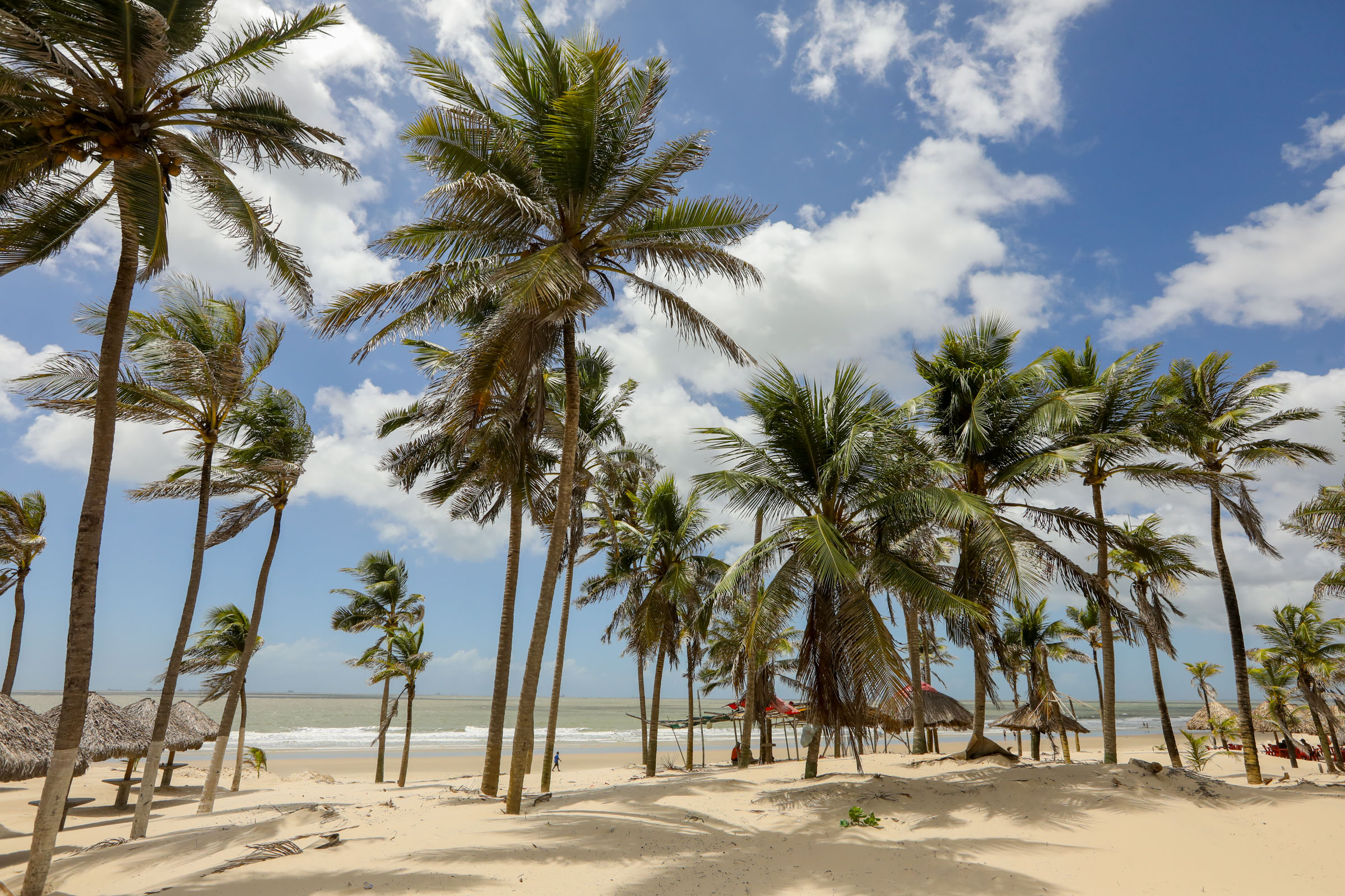 Quando ir a São Luís