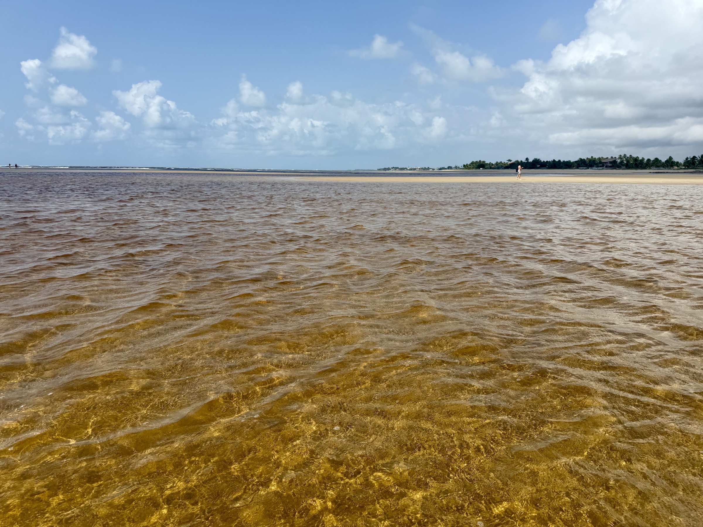 Pontal de Maracaípe