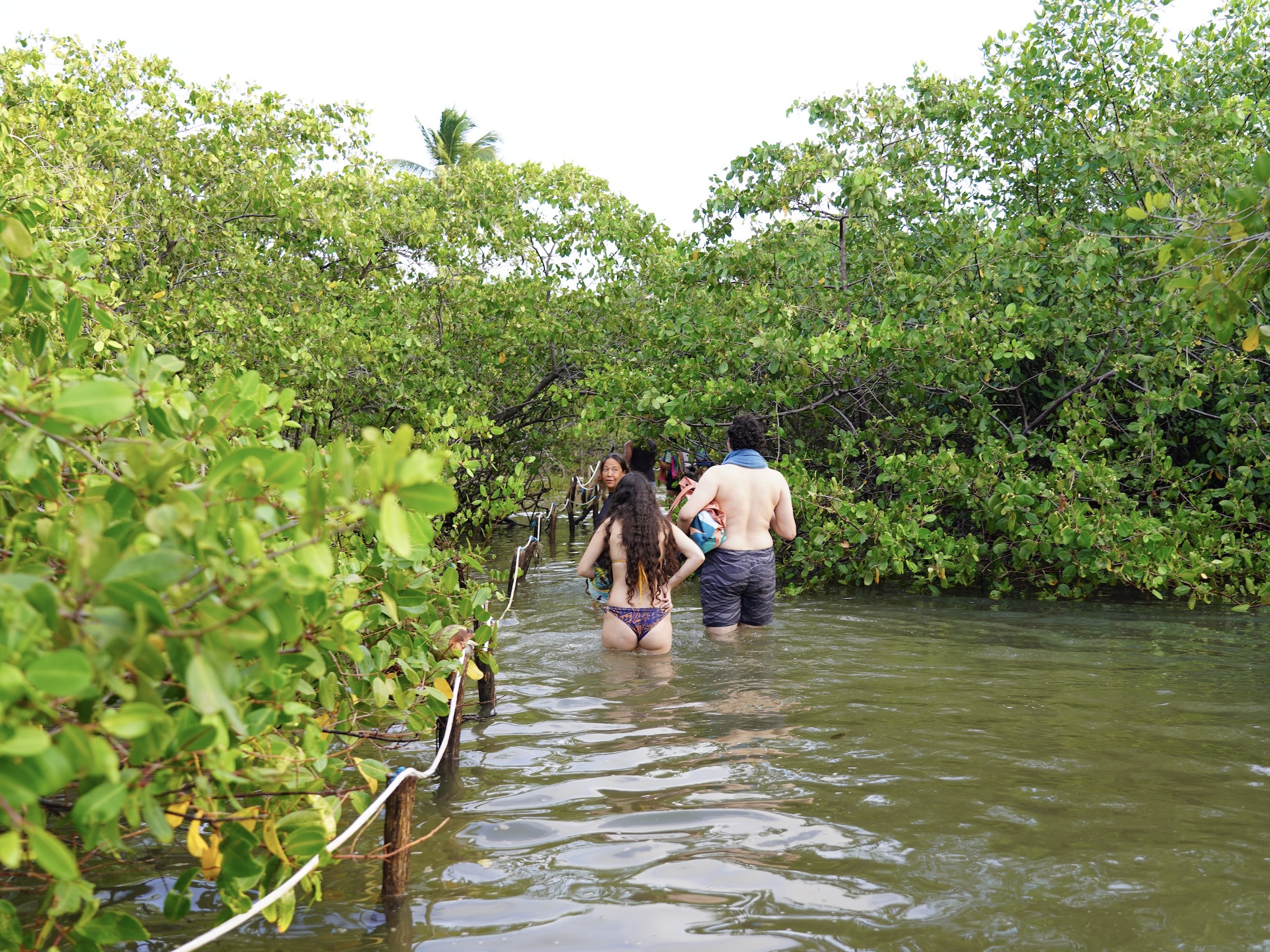 Pontal de Maracaípe