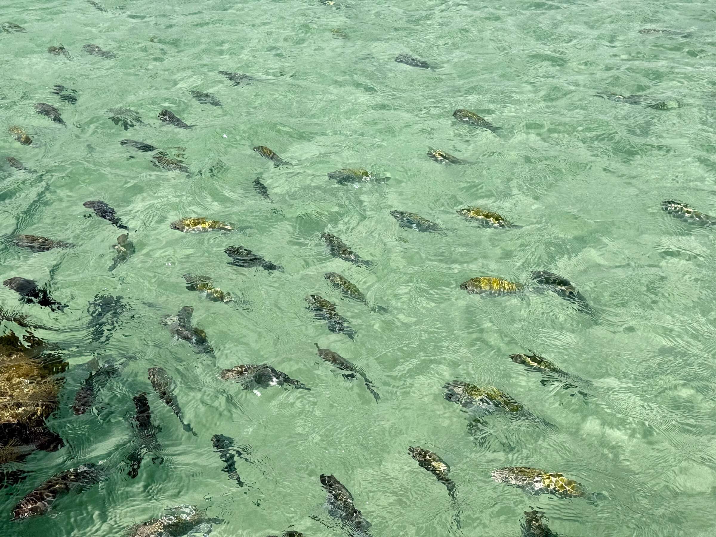 Vila de Porto de Galinhas