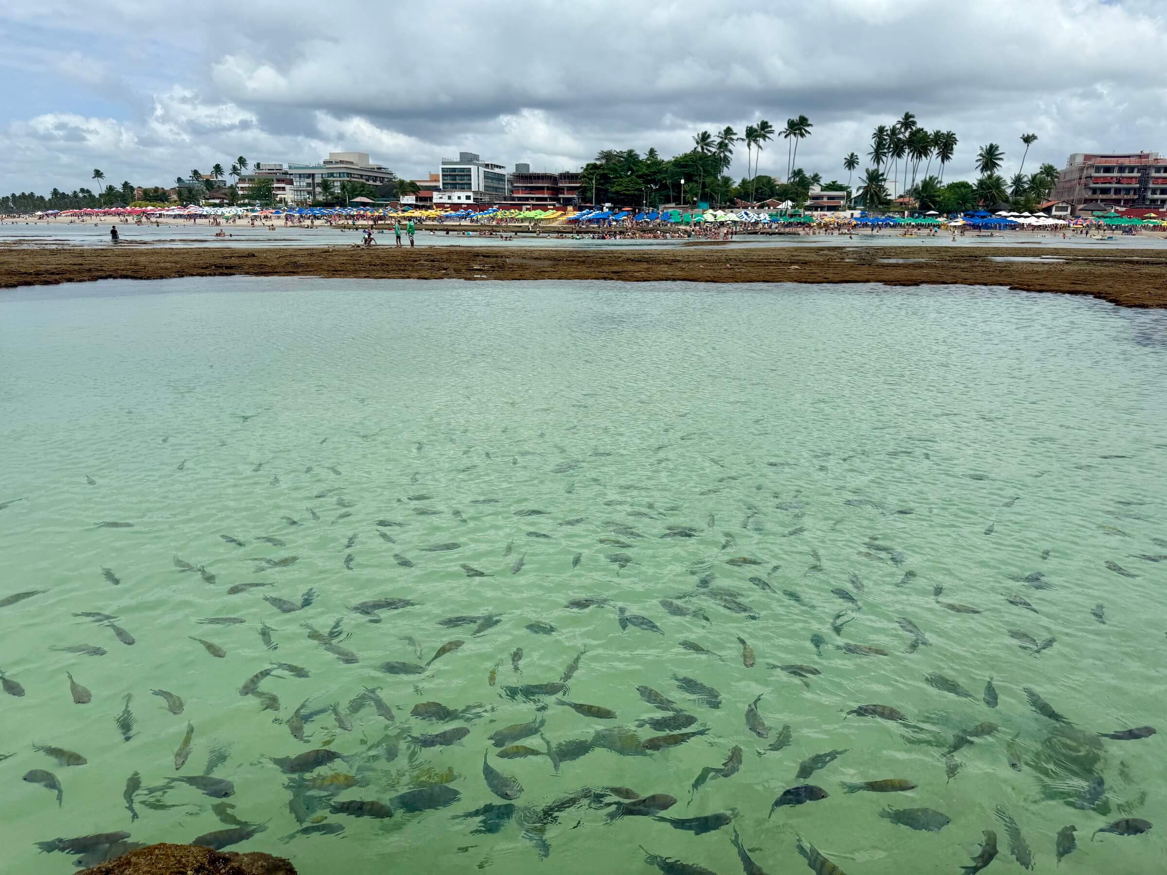 Quando ir a Porto de Galinhas