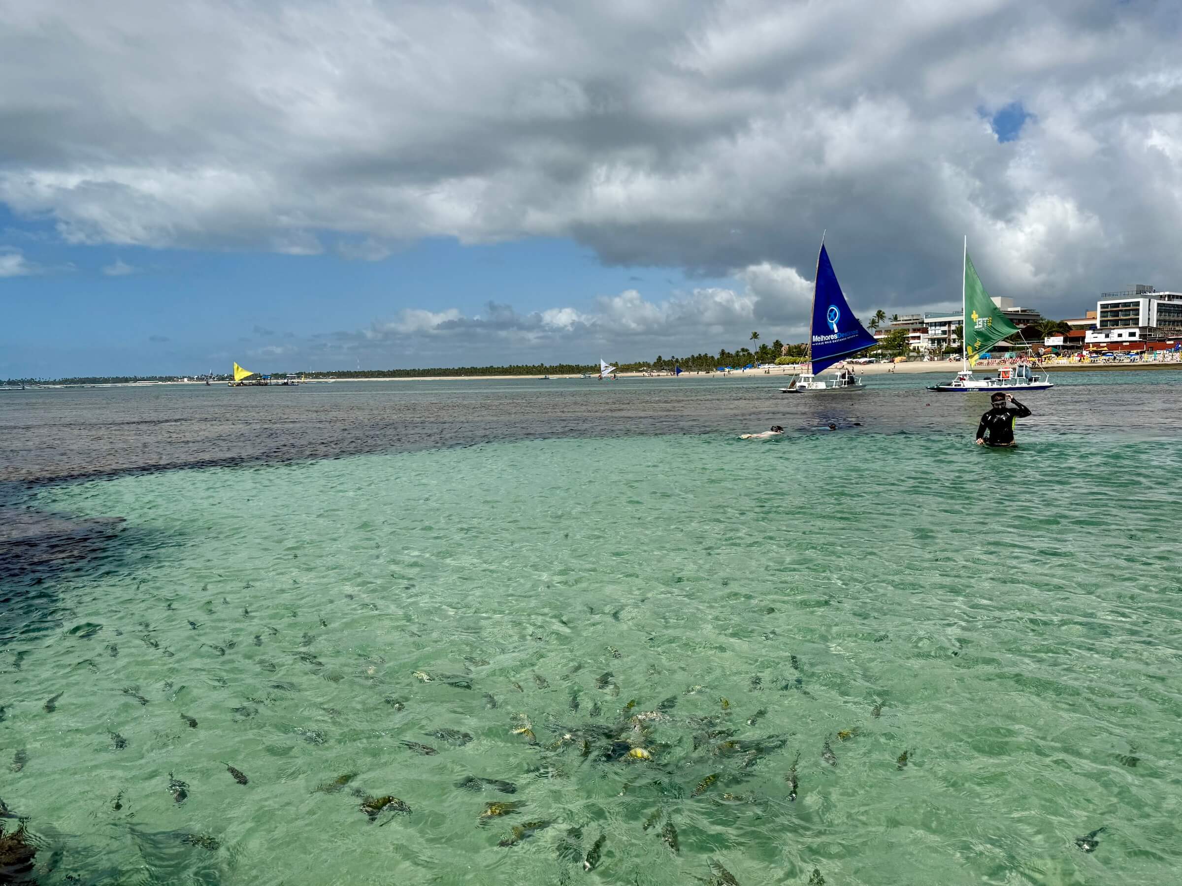 Quando ir a Porto de Galinhas
