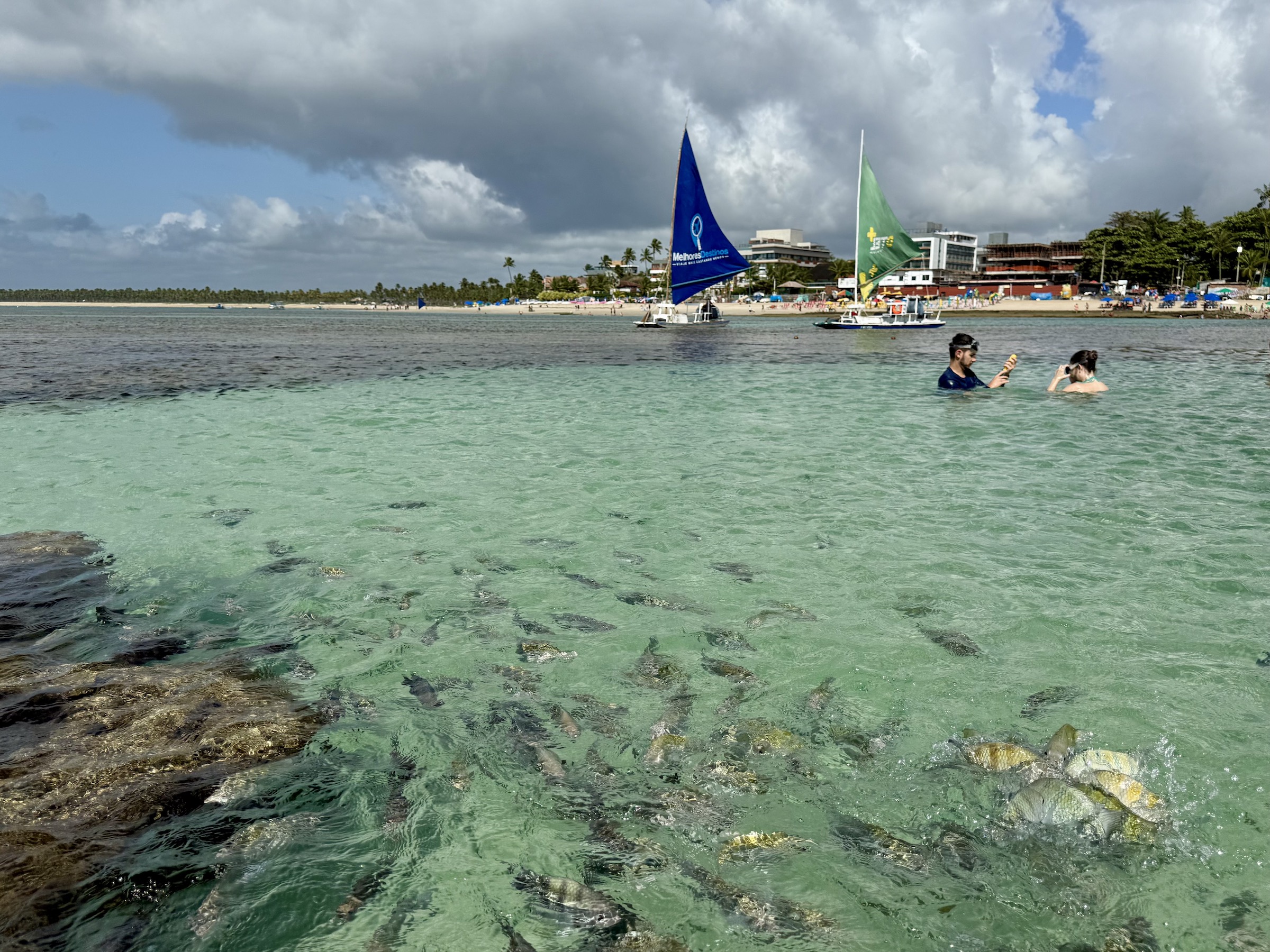Passeios em Porto de Galinhas