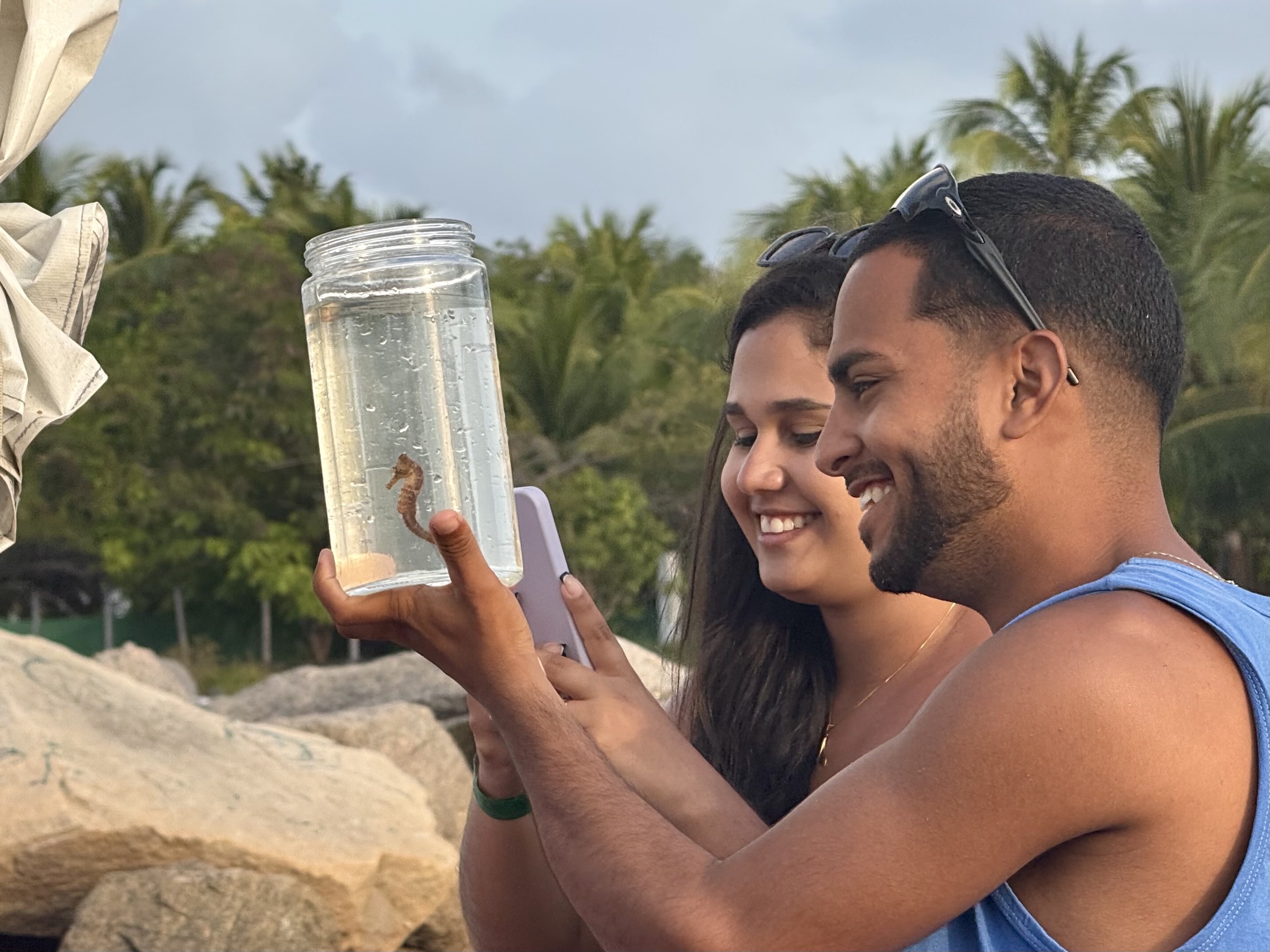 Passeios em Porto de Galinhas