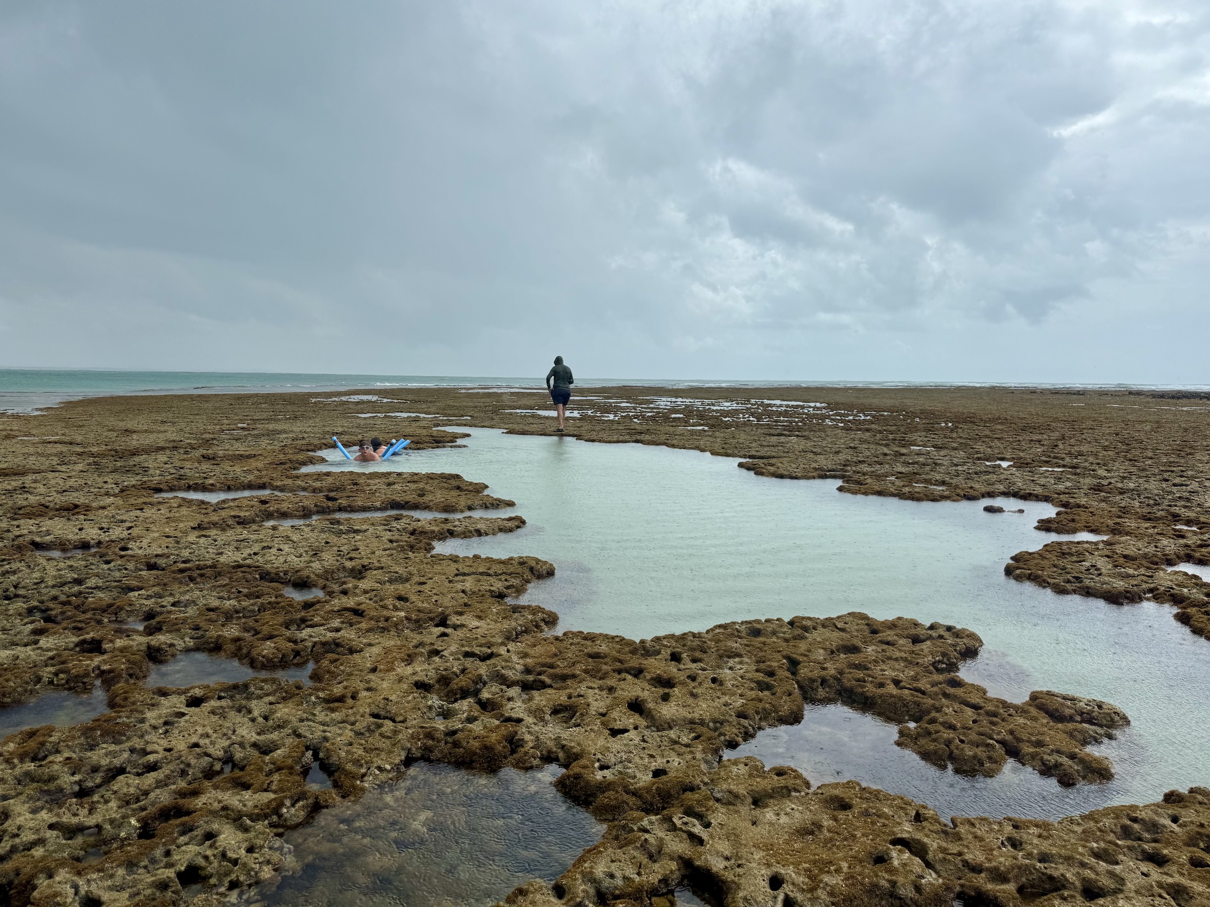 Passeios em Porto de Galinhas