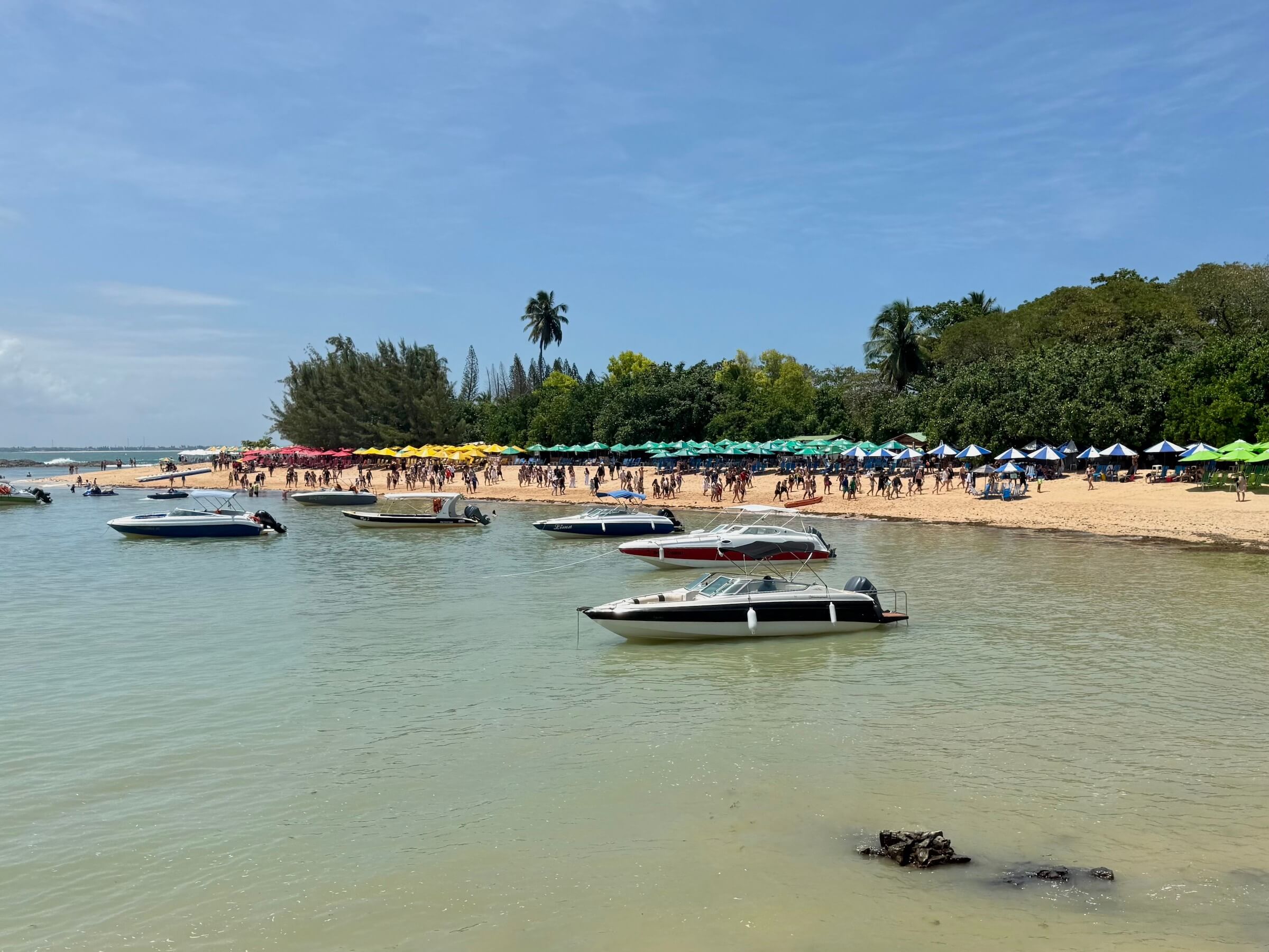 Passeios em Porto de Galinhas