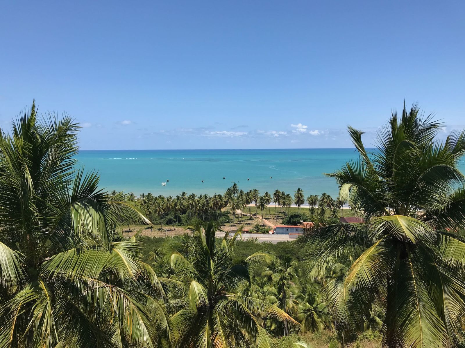 Passeios em Porto de Galinhas