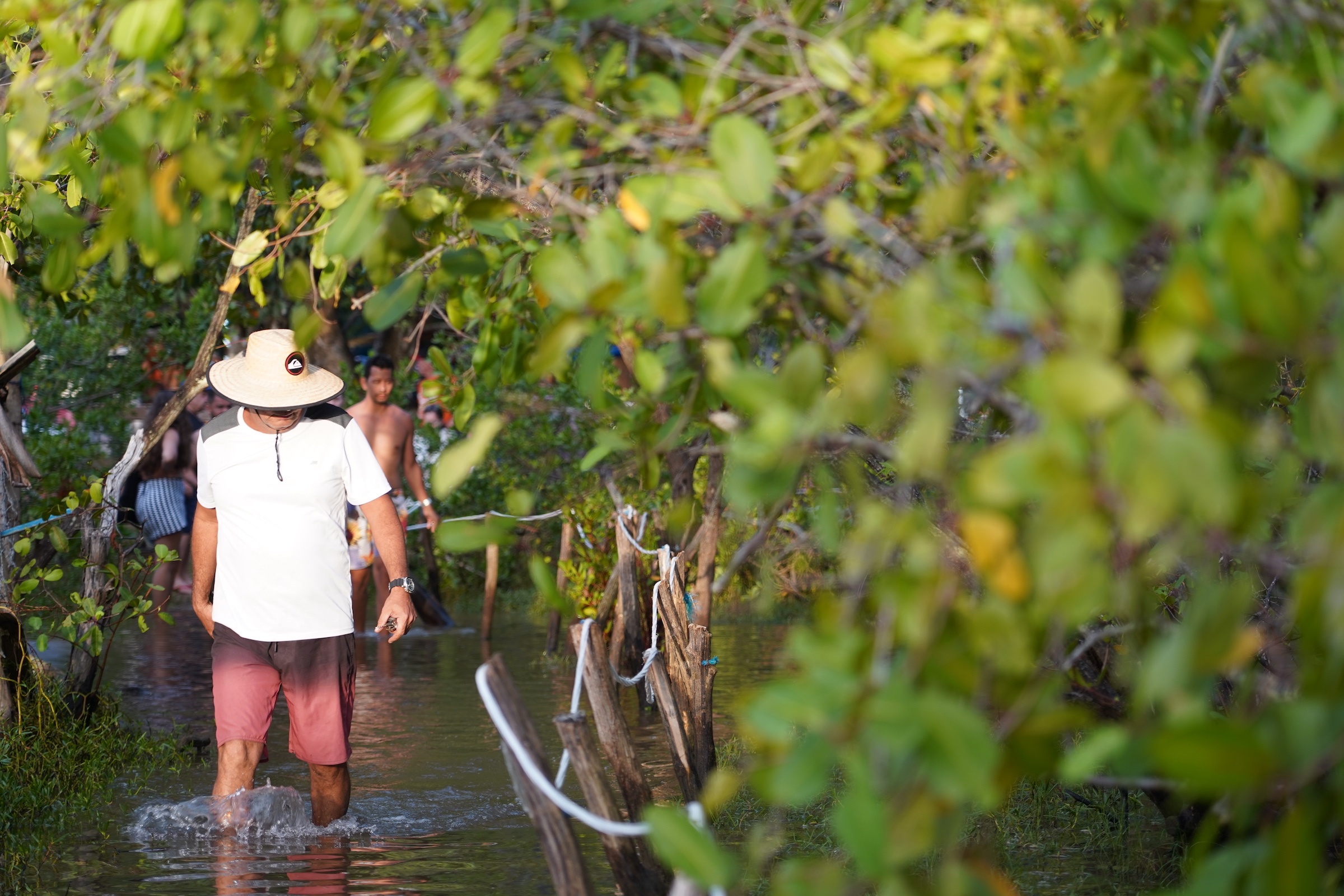 O que fazer em Porto de Galinhas