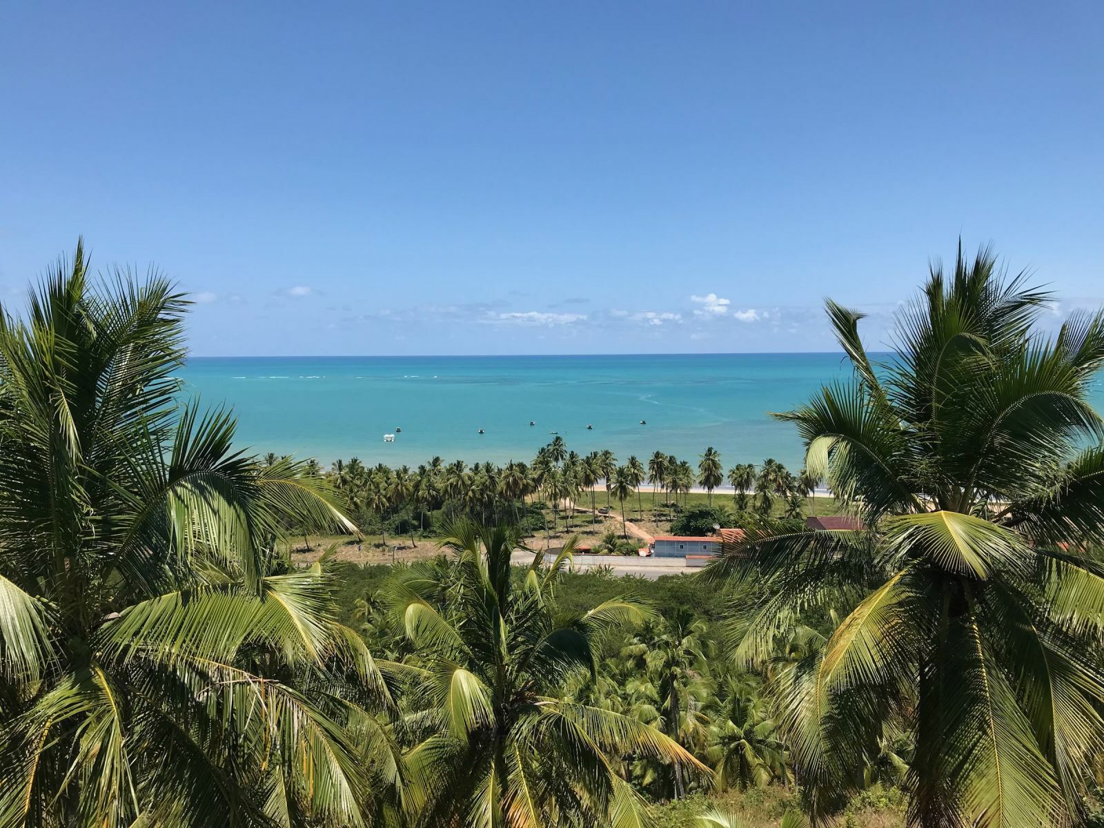 O que fazer em Porto de Galinhas