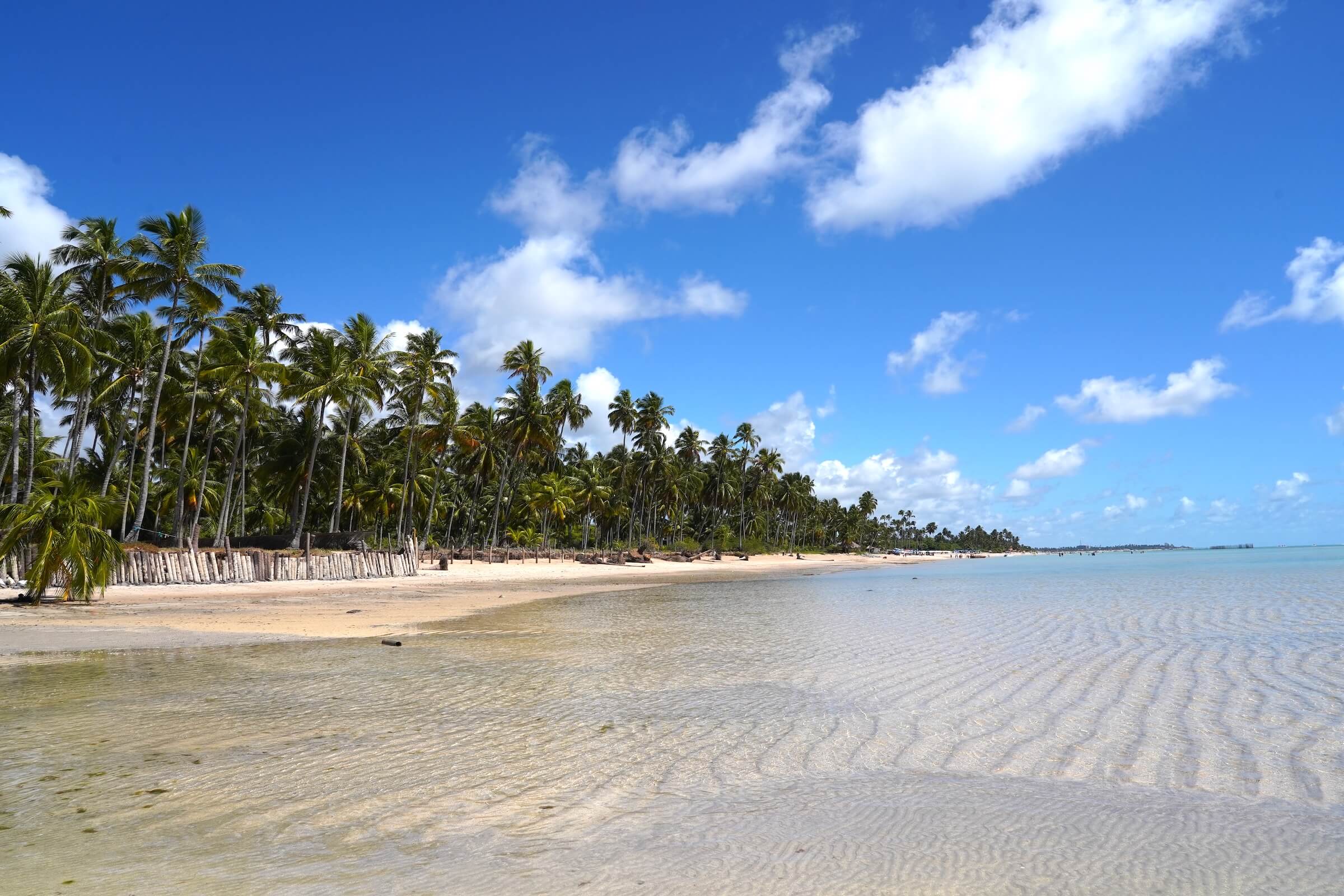 Como chegar a Maragogi