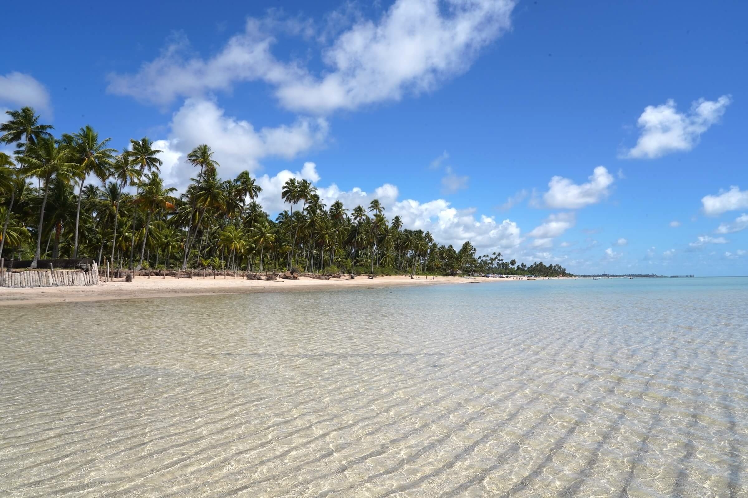 Praia Ponta de Mangue