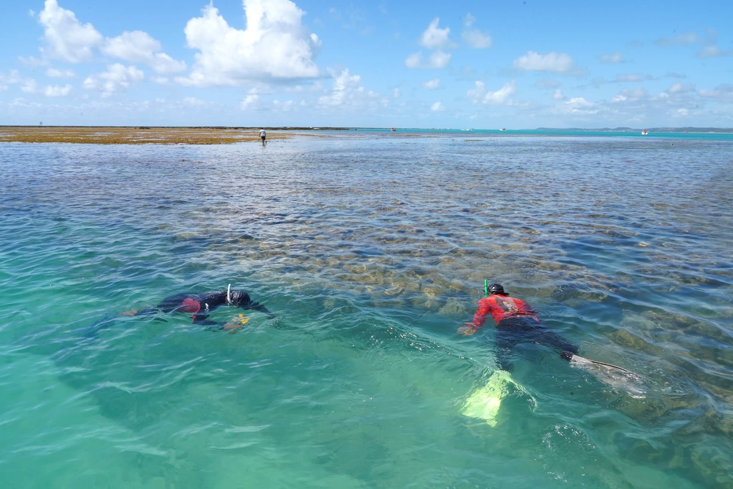 Piscinas Naturais de Maragogi