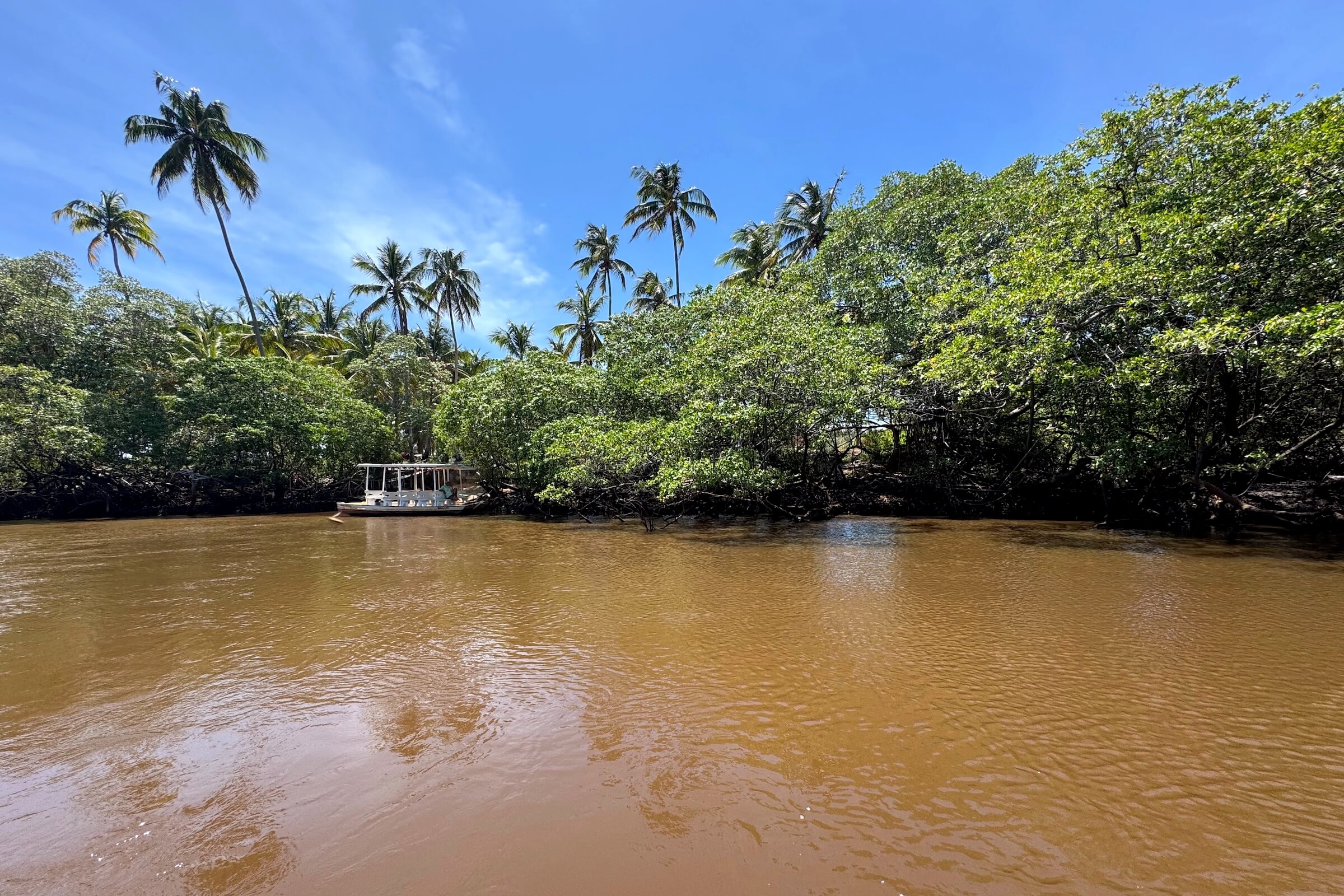 Associação Peixe-Boi