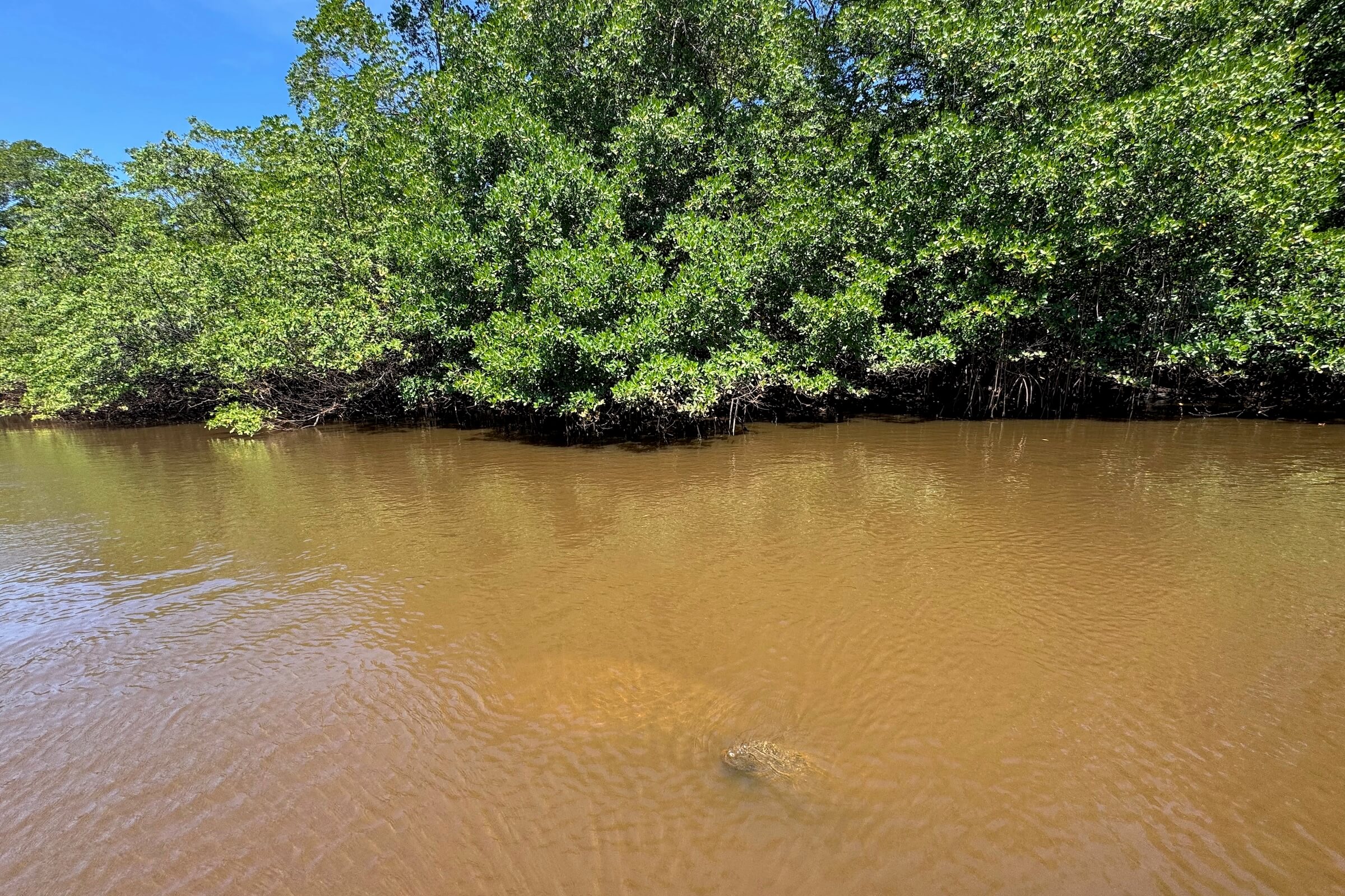 Associação Peixe-Boi