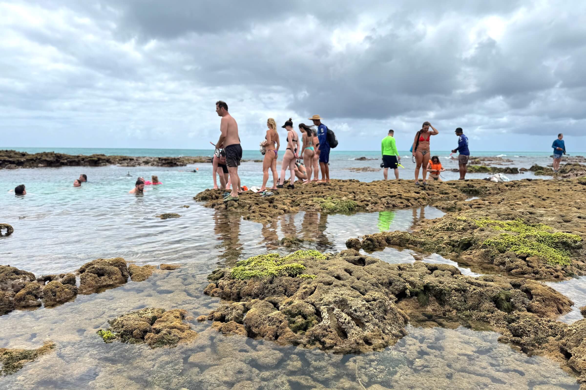 Passeios em Maragogi