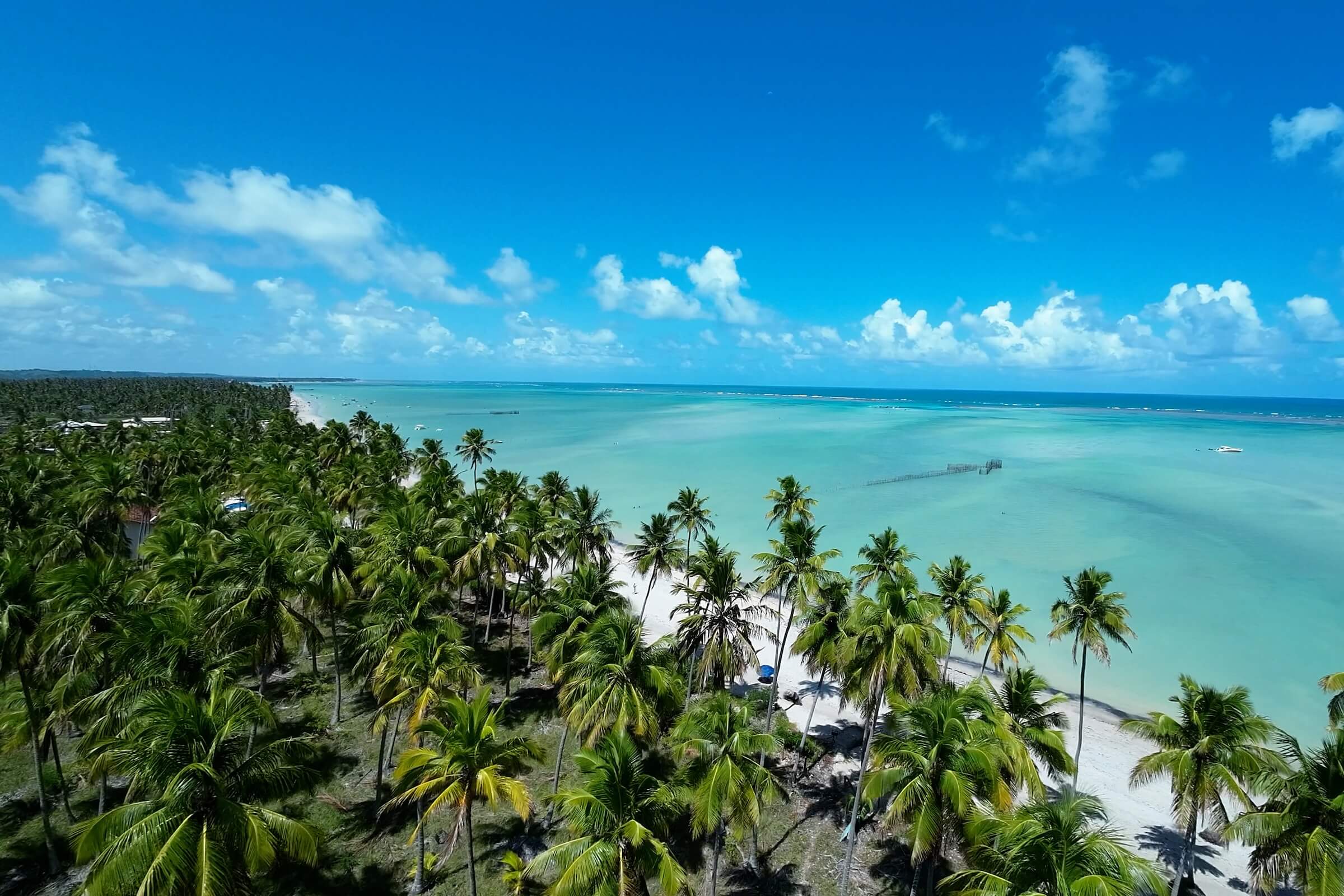 O que fazer em Maragogi