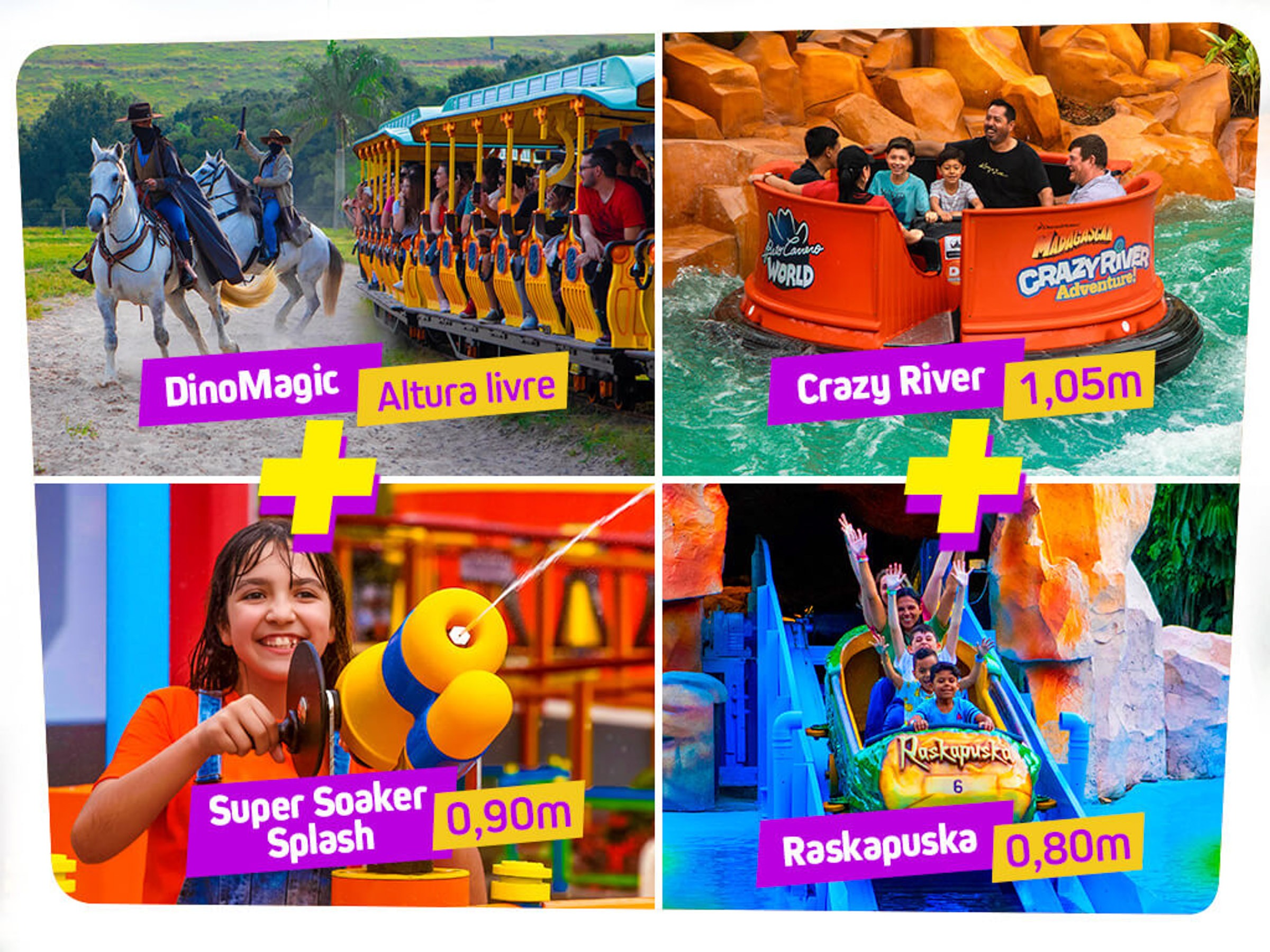 Family Pass Beto Carrero