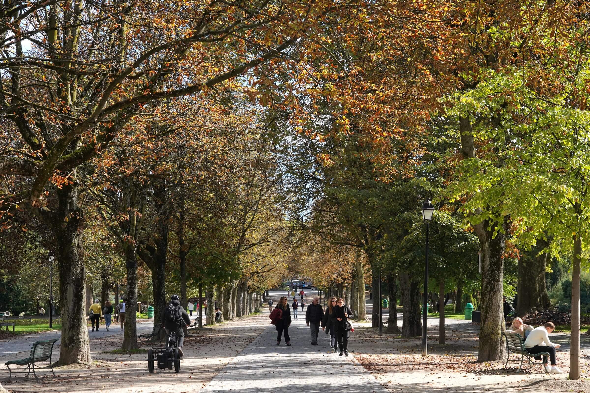 O que fazer em Genebra
