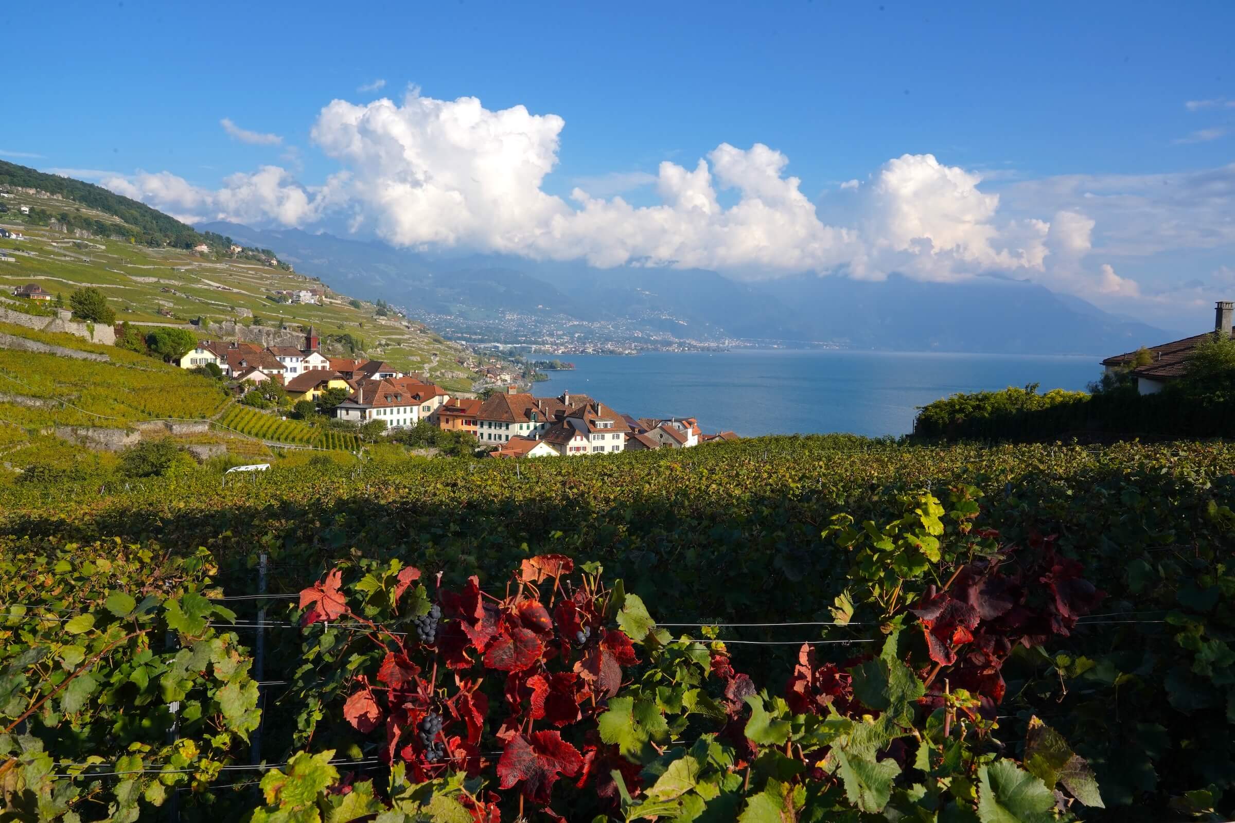 O que fazer em Genebra