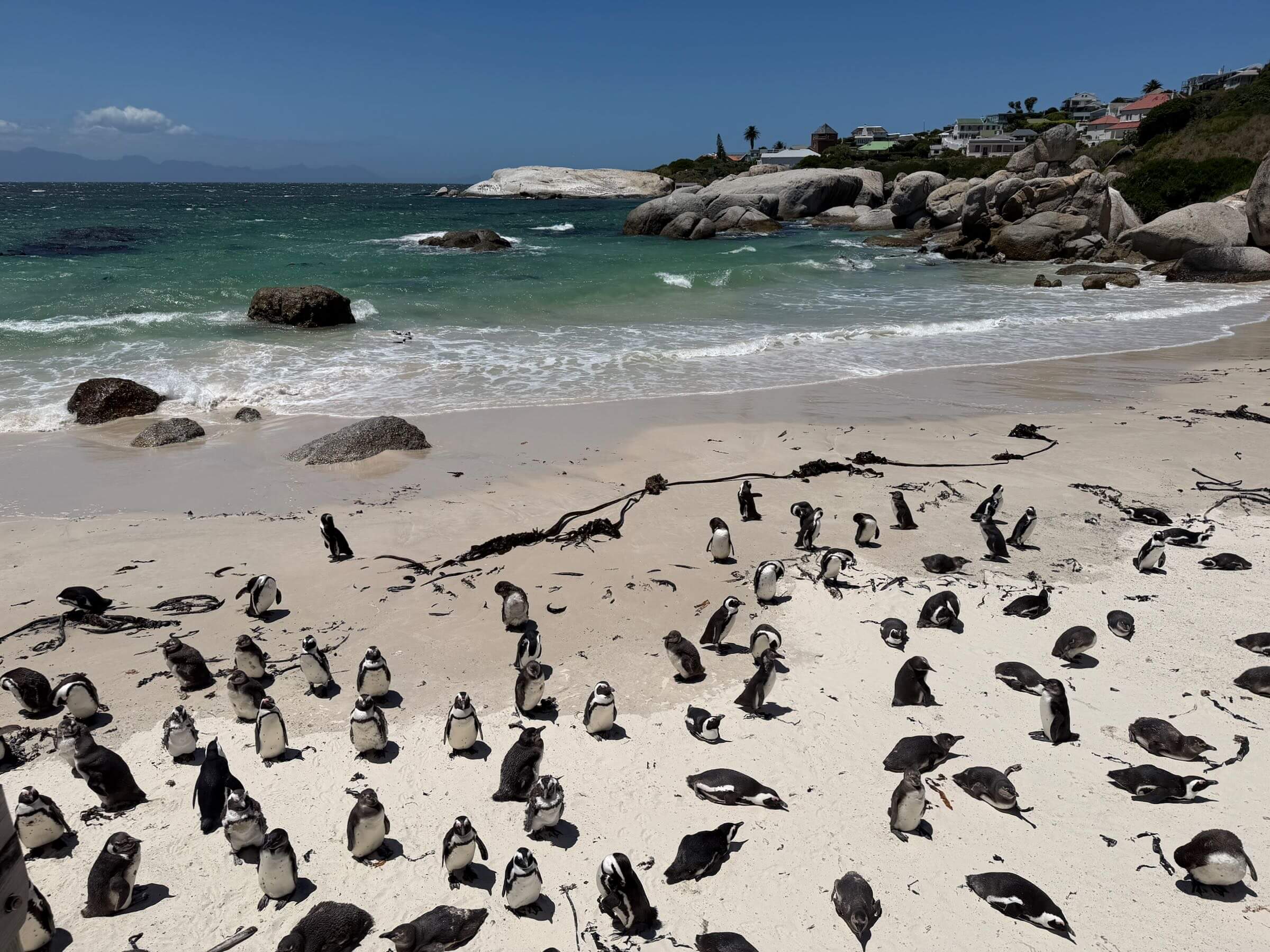 O que fazer na Cidade do Cabo!