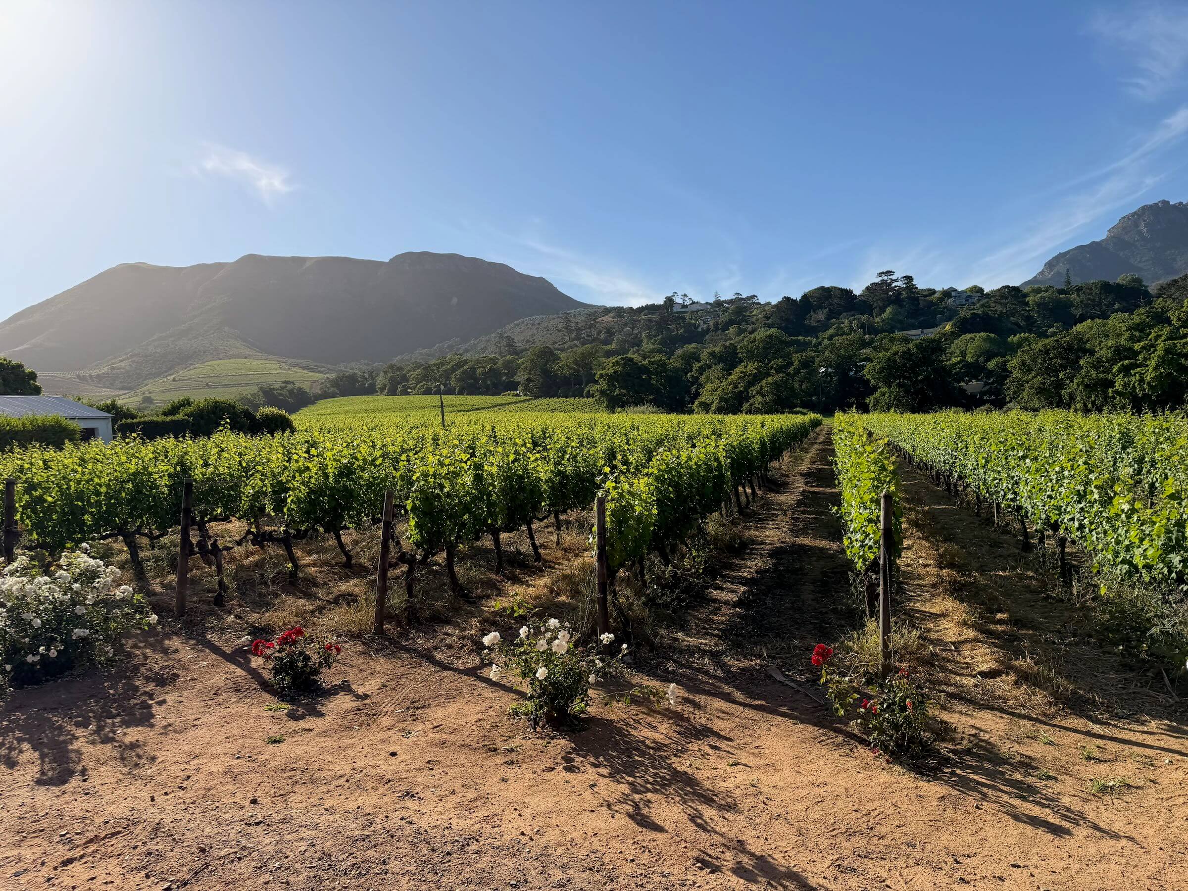 O que fazer na Cidade do Cabo!