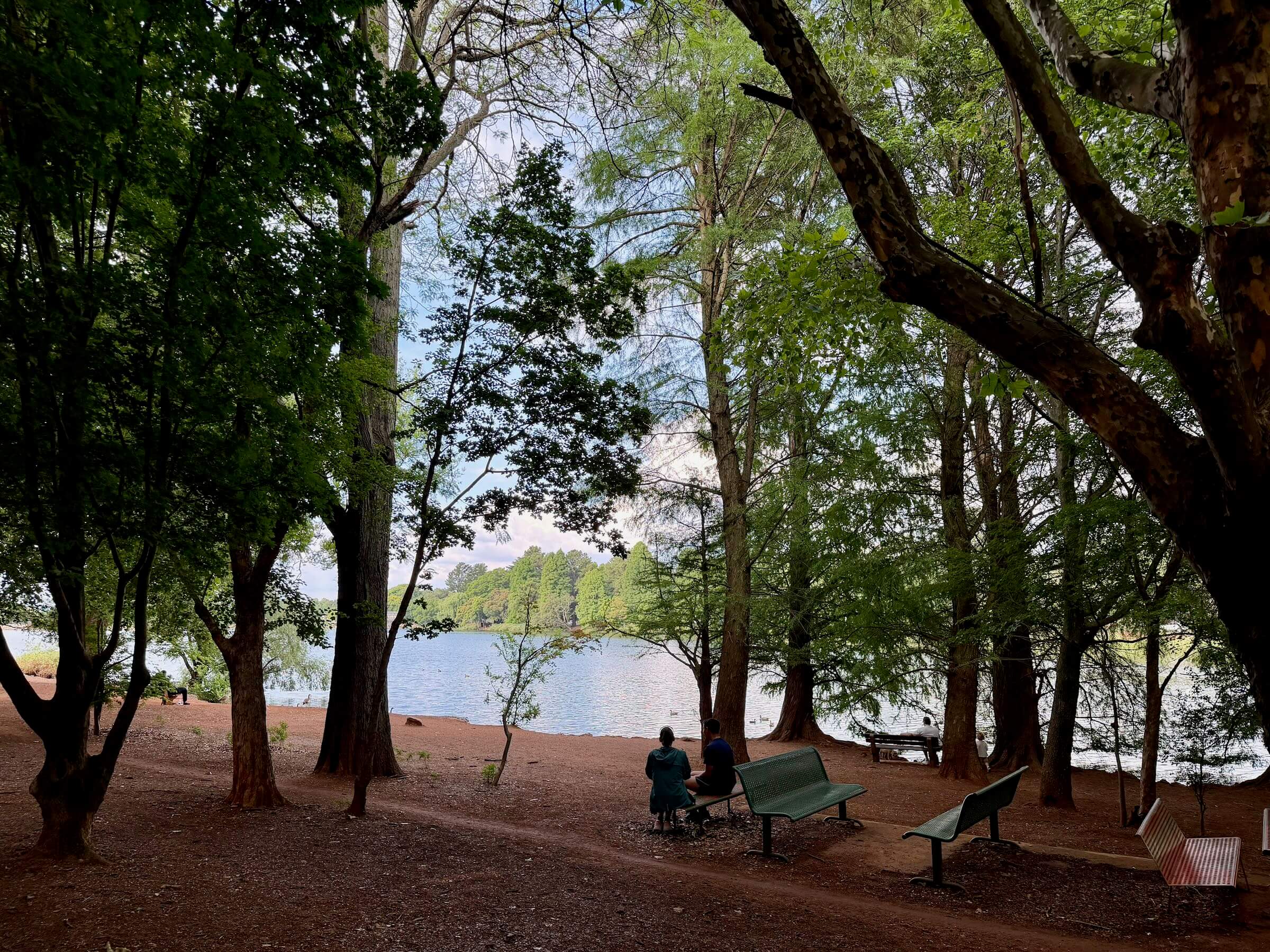 O que fazer em Joanesburgo