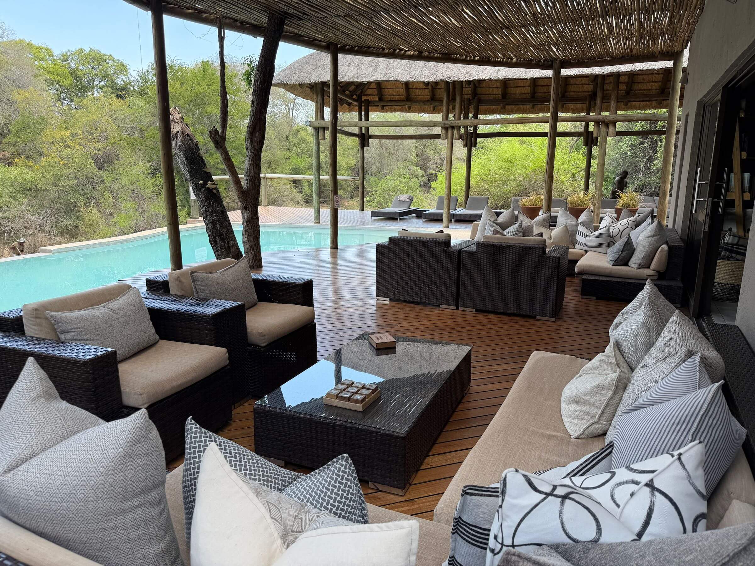 Moditlo River Lodge - nossa experiência em uma reserva privada na savana sul-africana 