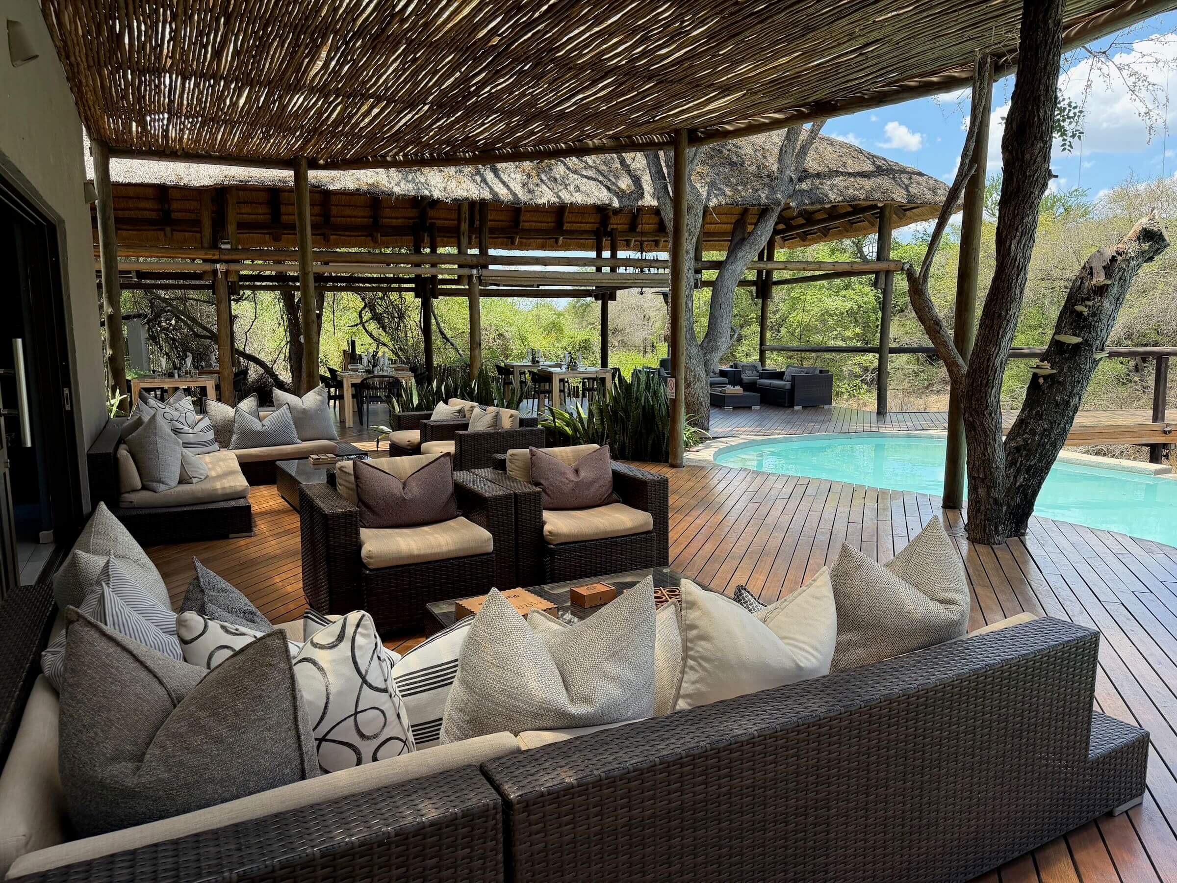 Moditlo River Lodge - nossa experiência em uma reserva privada na savana sul-africana 
