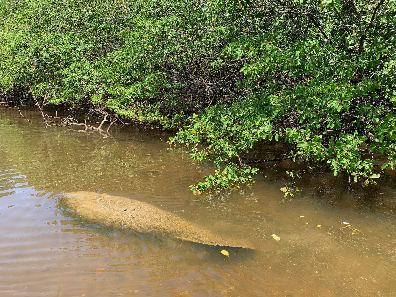 São Miguel dos Milagres