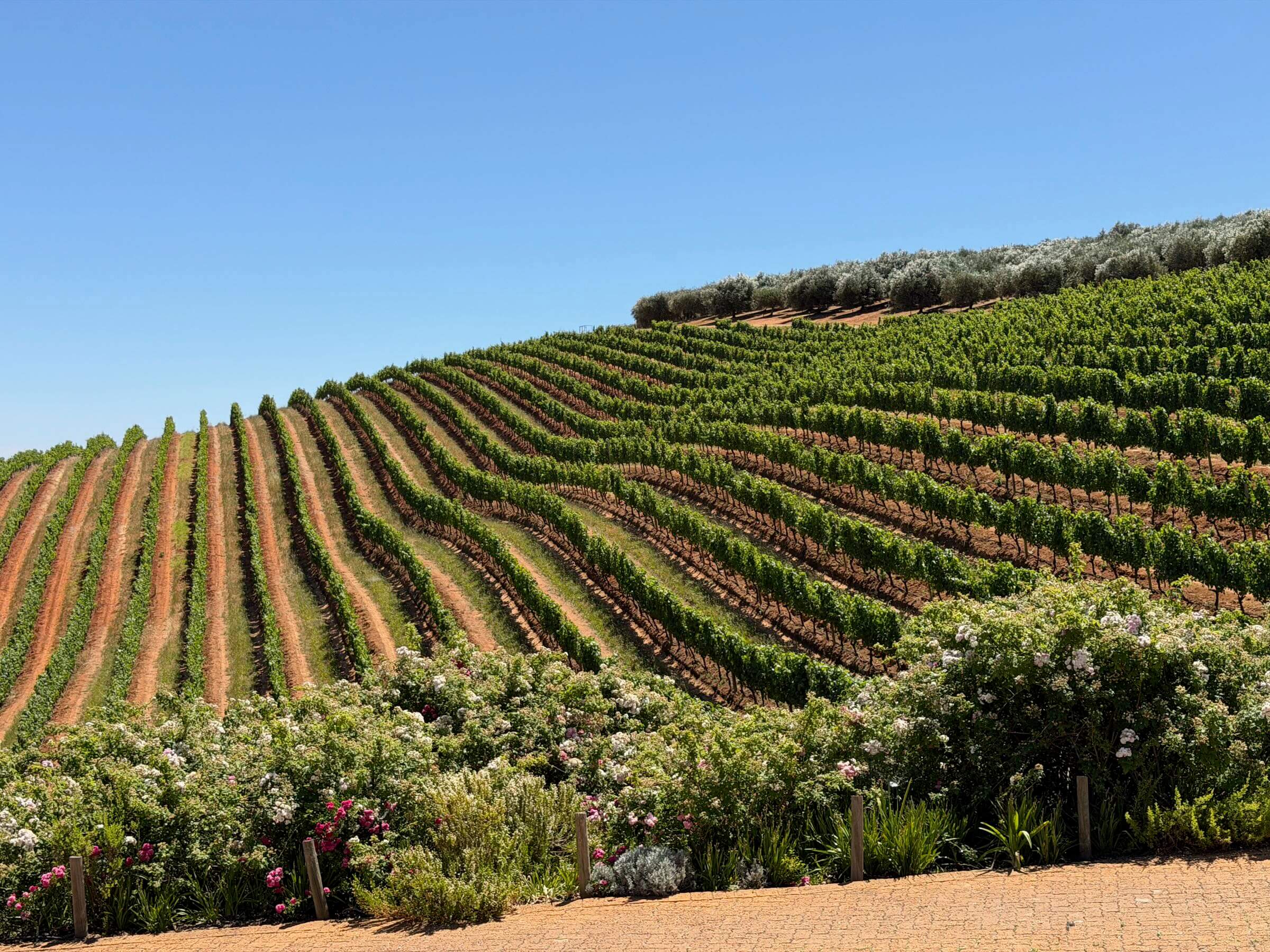 Roteiro na África do Sul