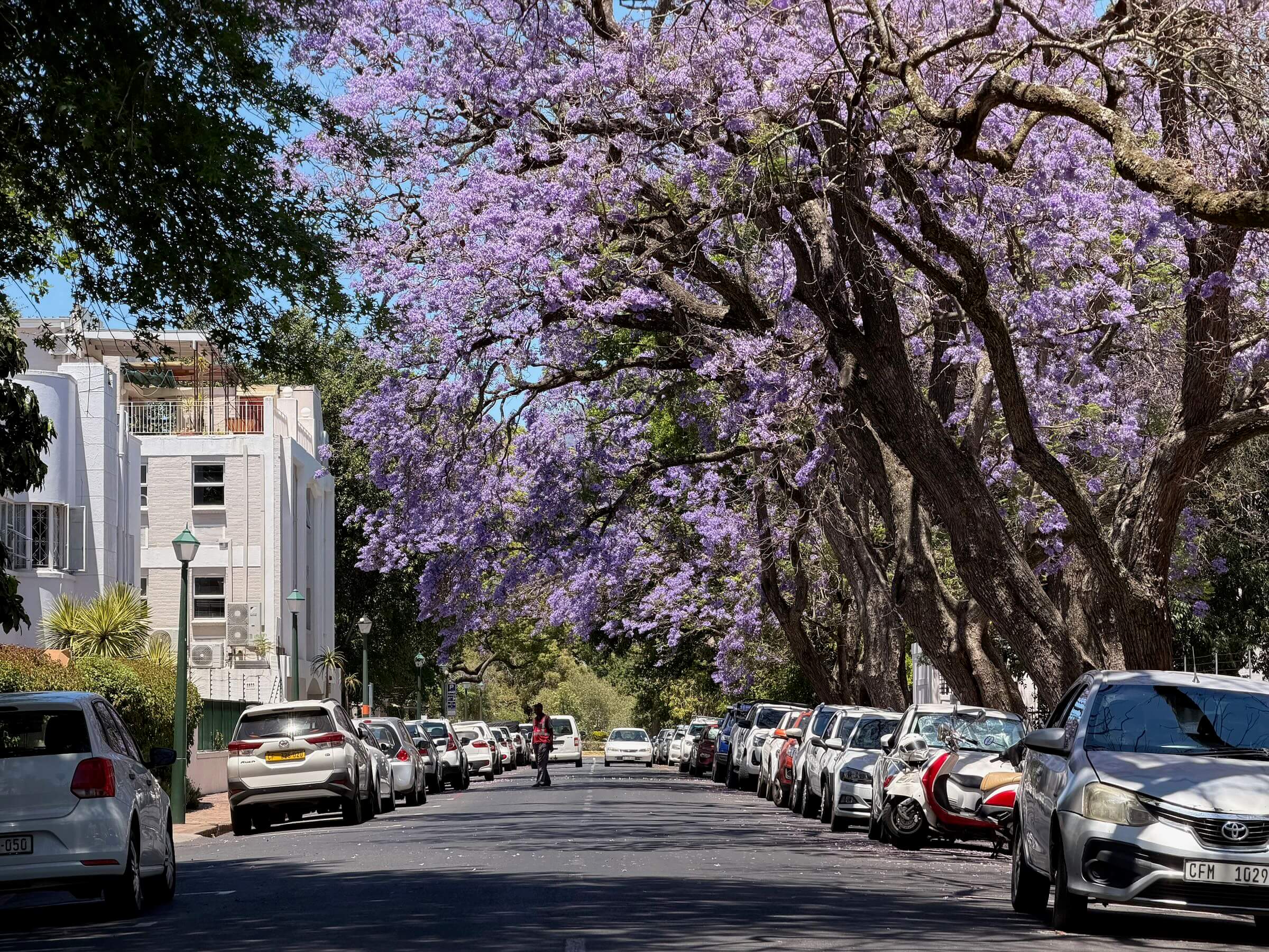 Roteiro na África do Sul