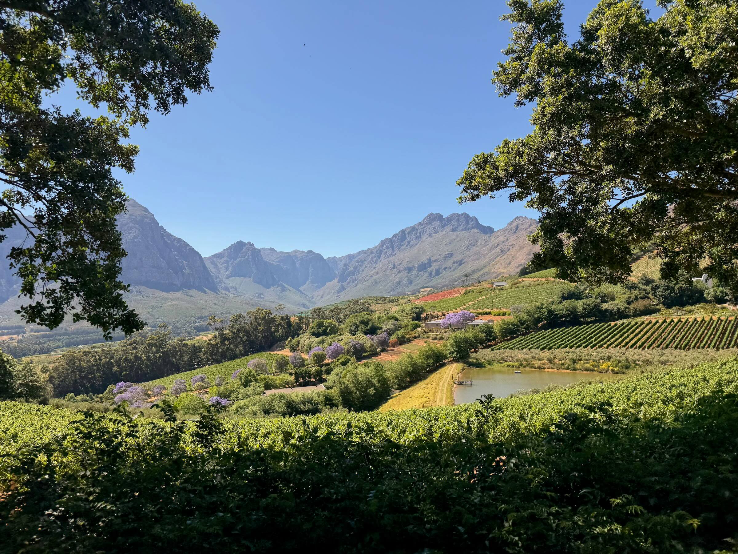 Franschhoek