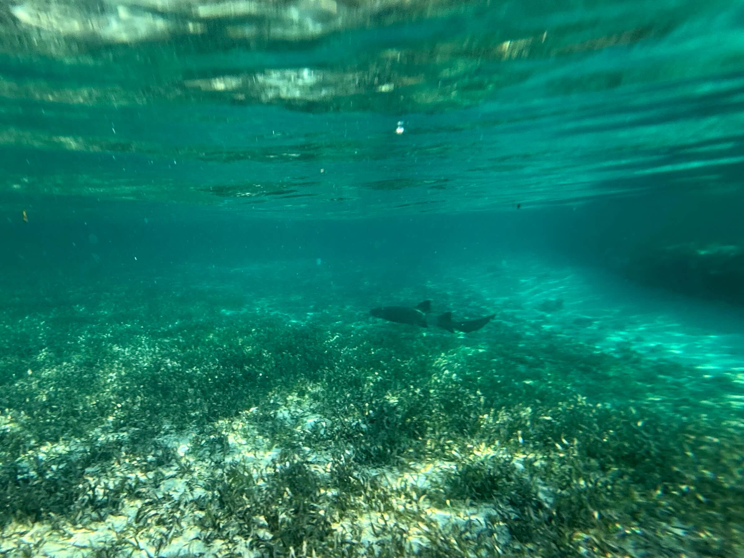 Acuario de San Andrés e Haynes Cay