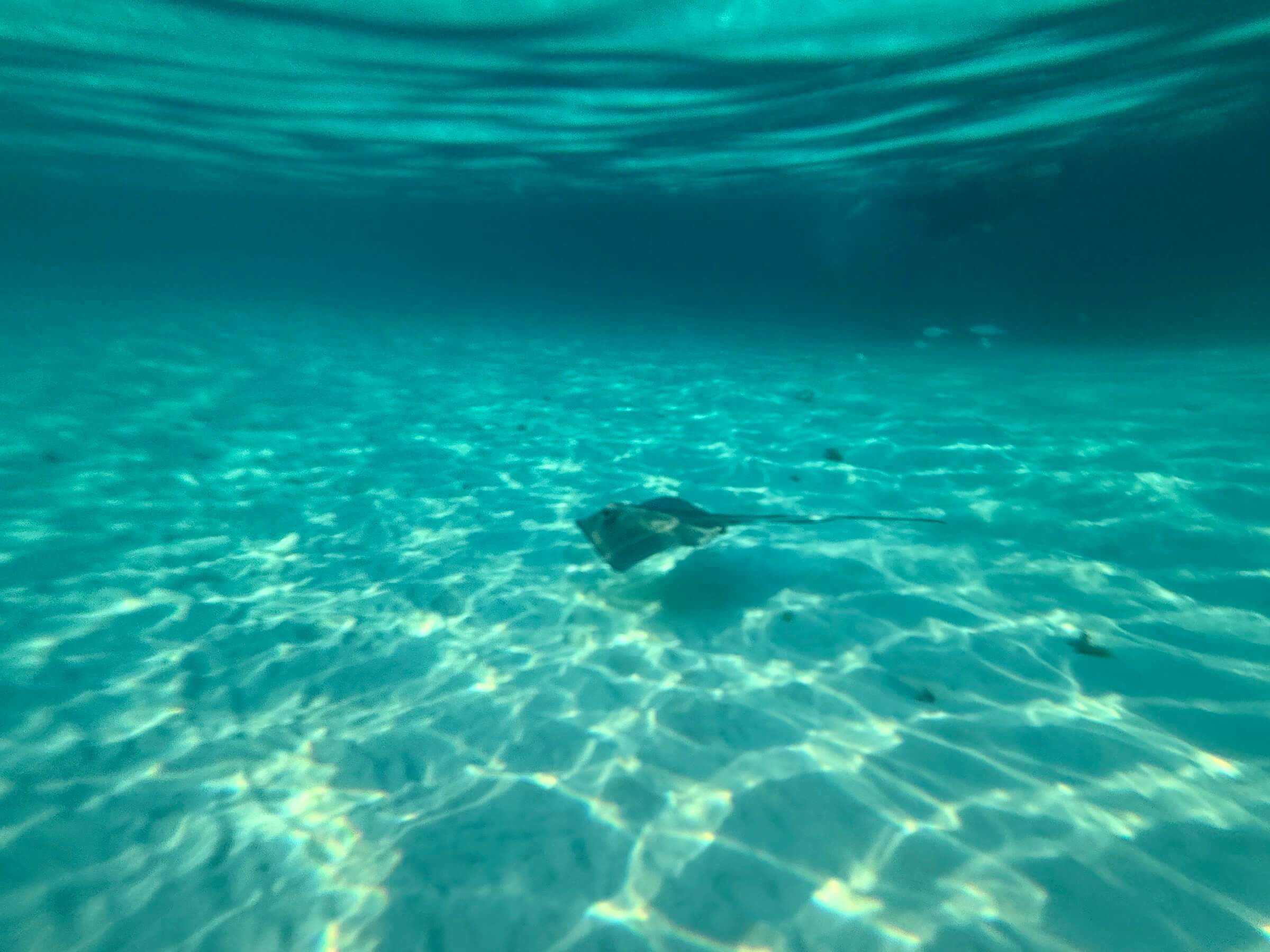 Acuario de San Andrés e Haynes Cay