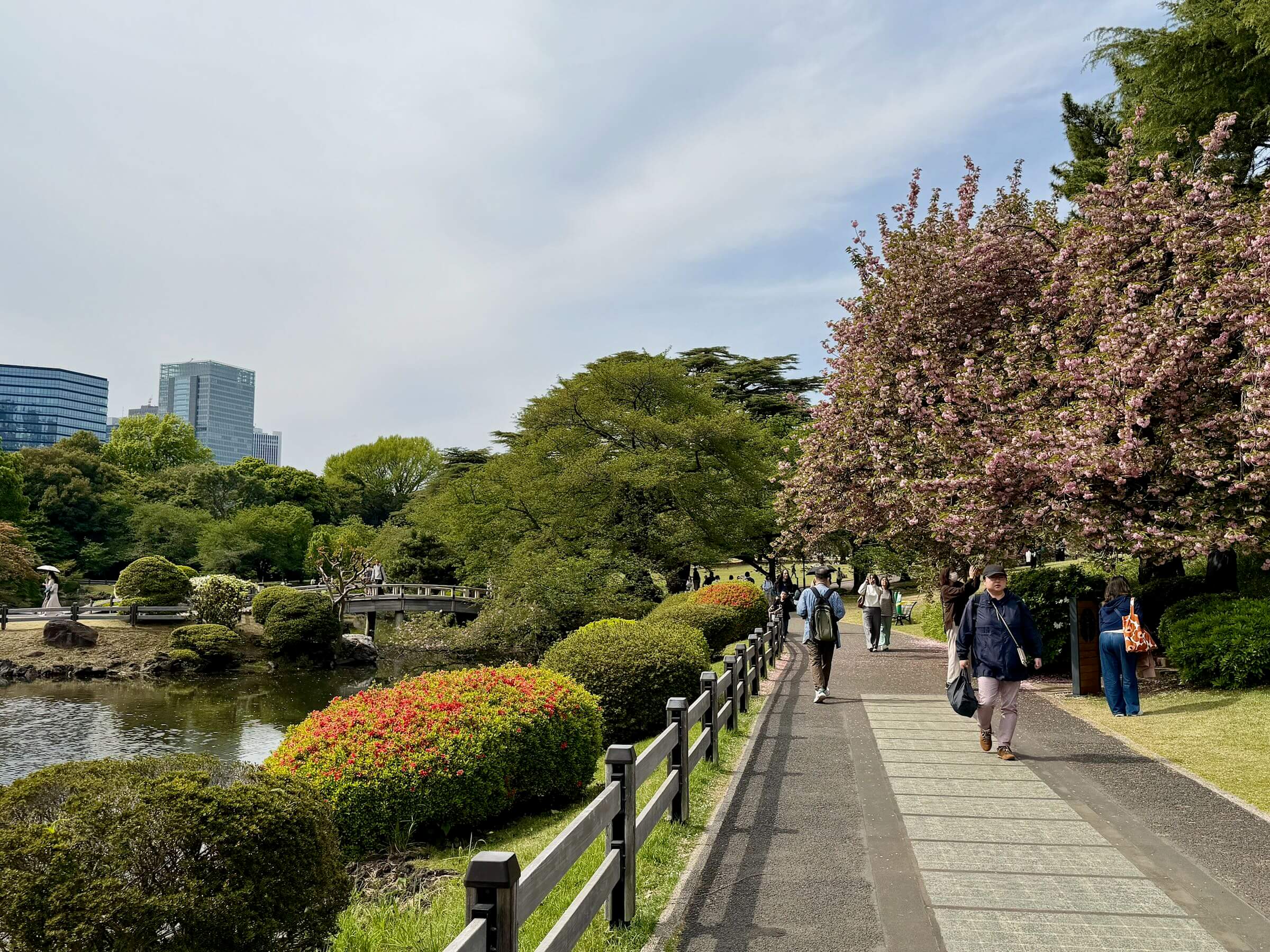 Quando ir a Tokyo