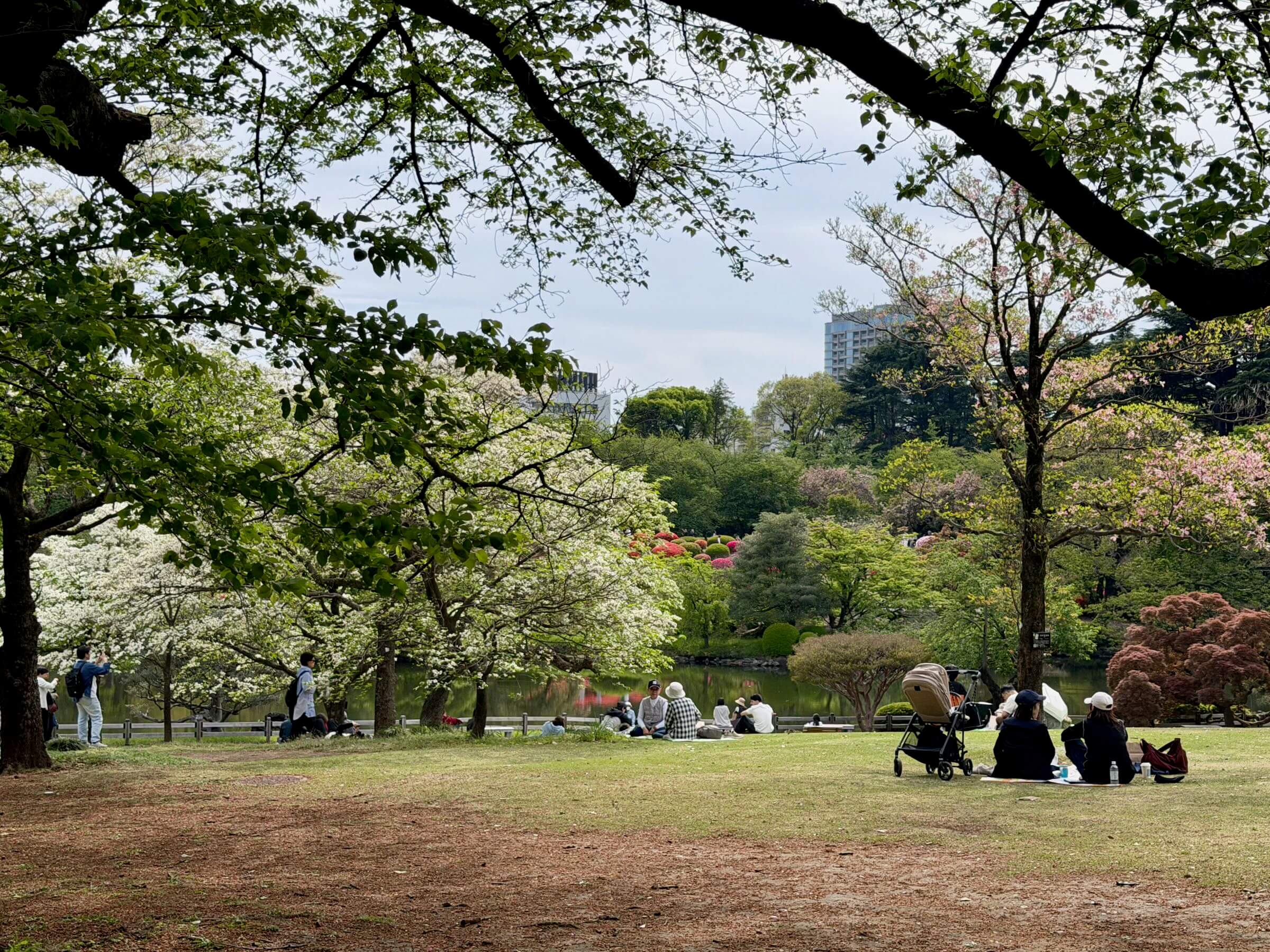Quando ir a Tokyo