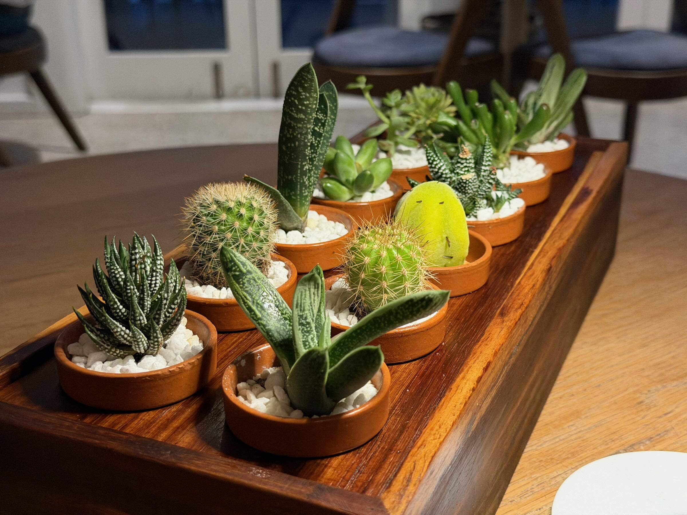 Onde comer na Cidade do Cabo