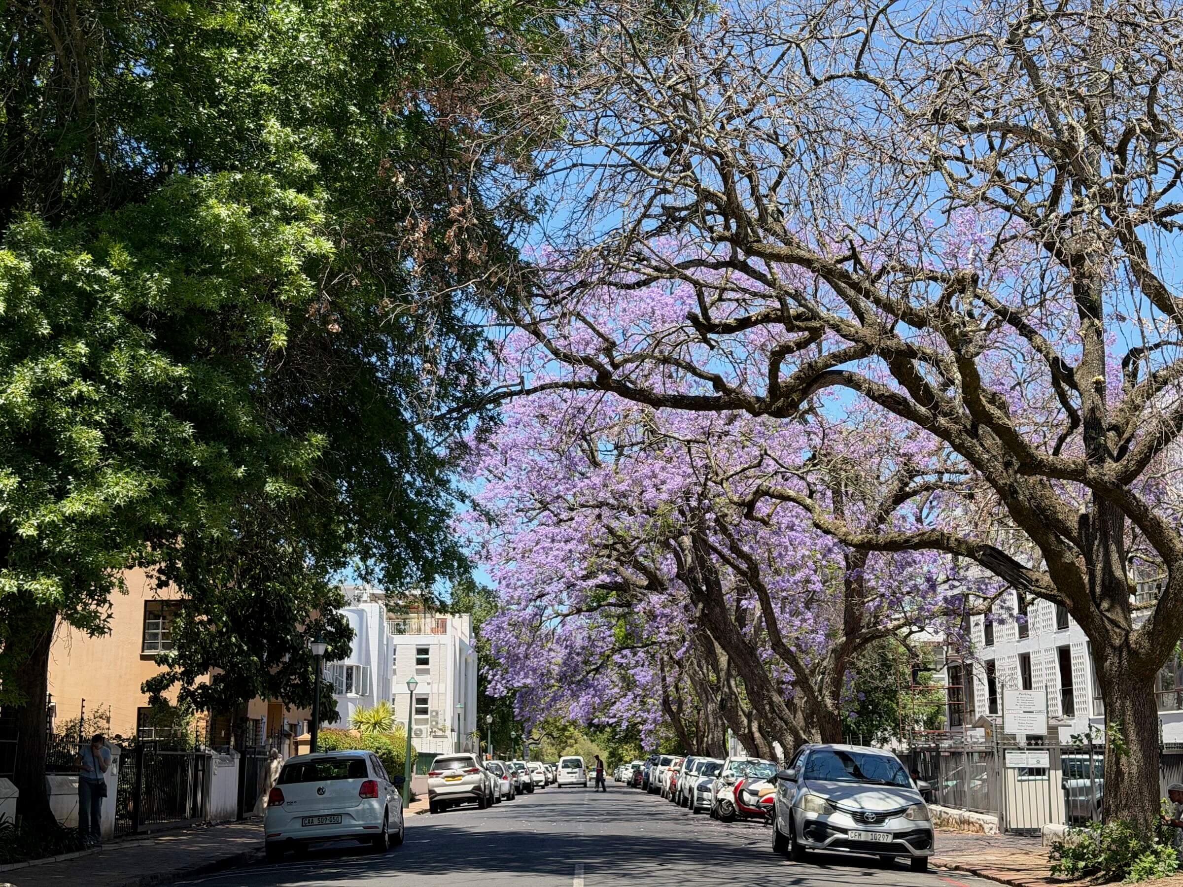 Passeios na Cidade do Cabo