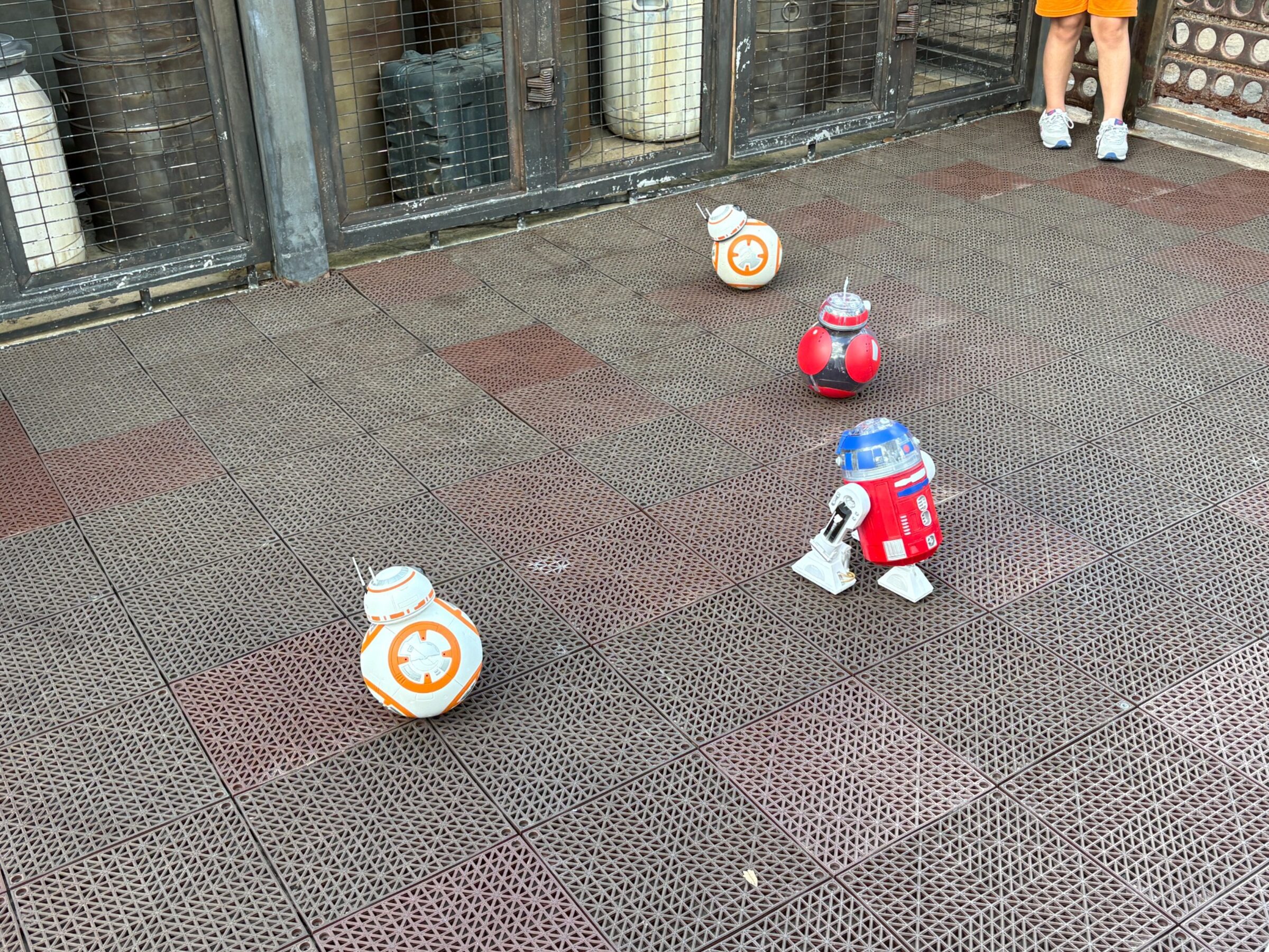 Hollywood Studios