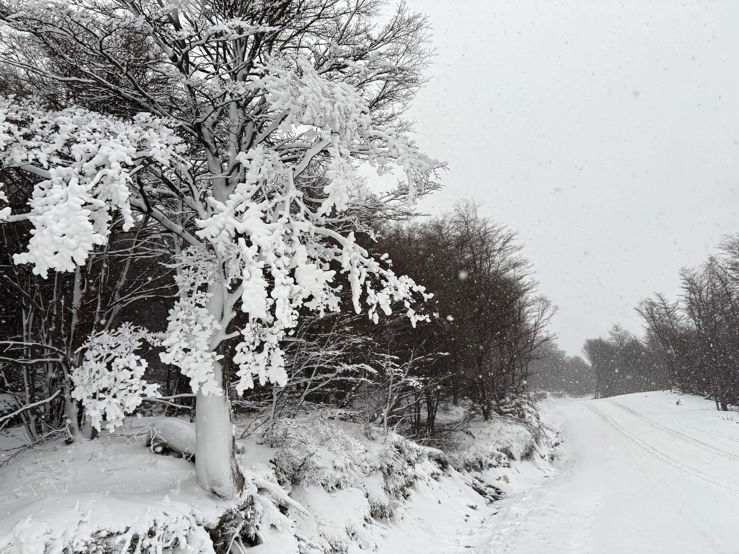 Inverno em Ushuaia