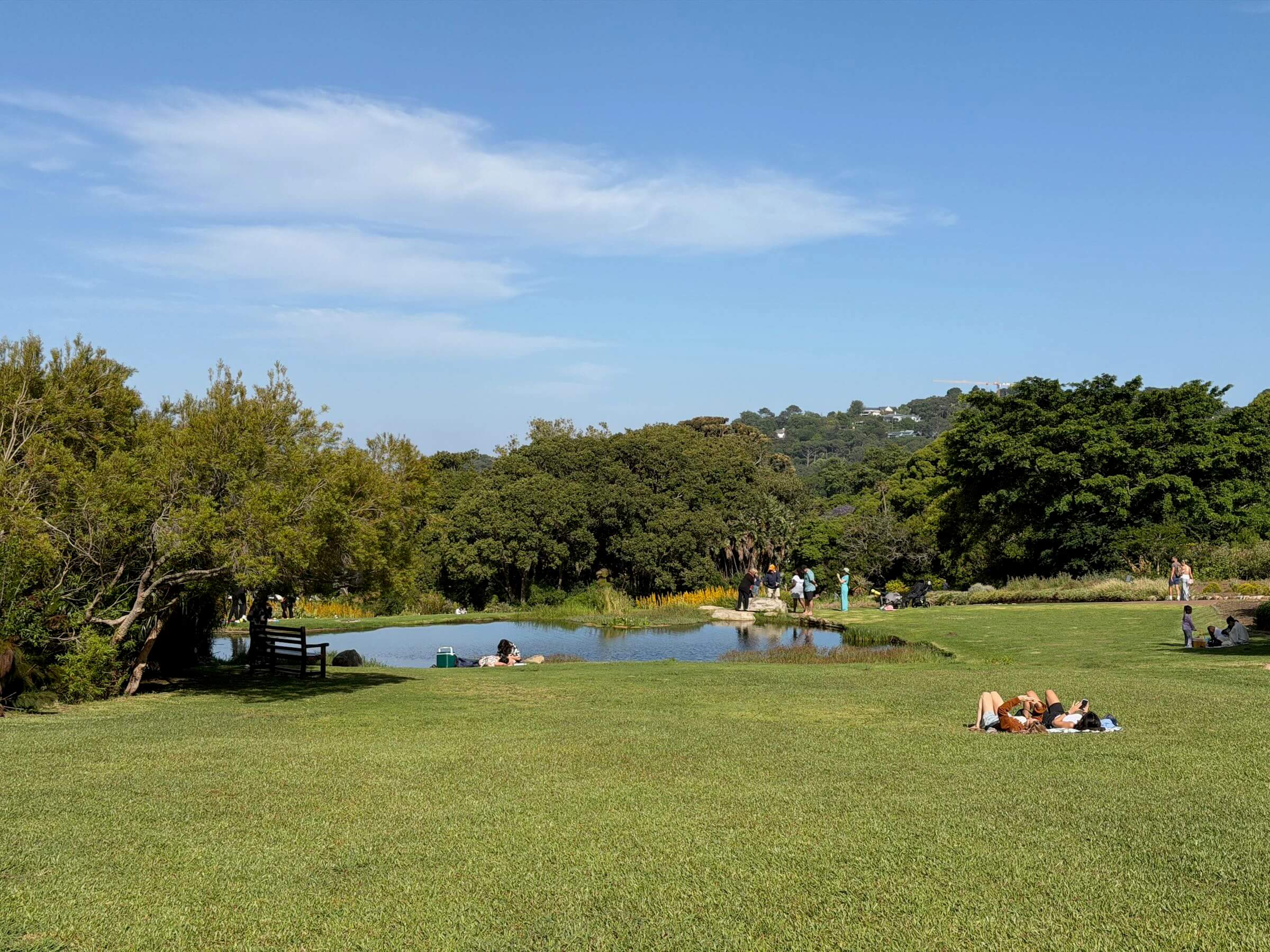 Kirstenbosch Botanical Gardens